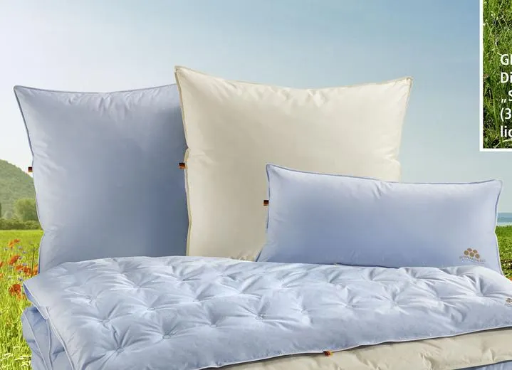 Erstklassige Daunenkissen-Sonderserie blau & creme aus dem Schwarzwald