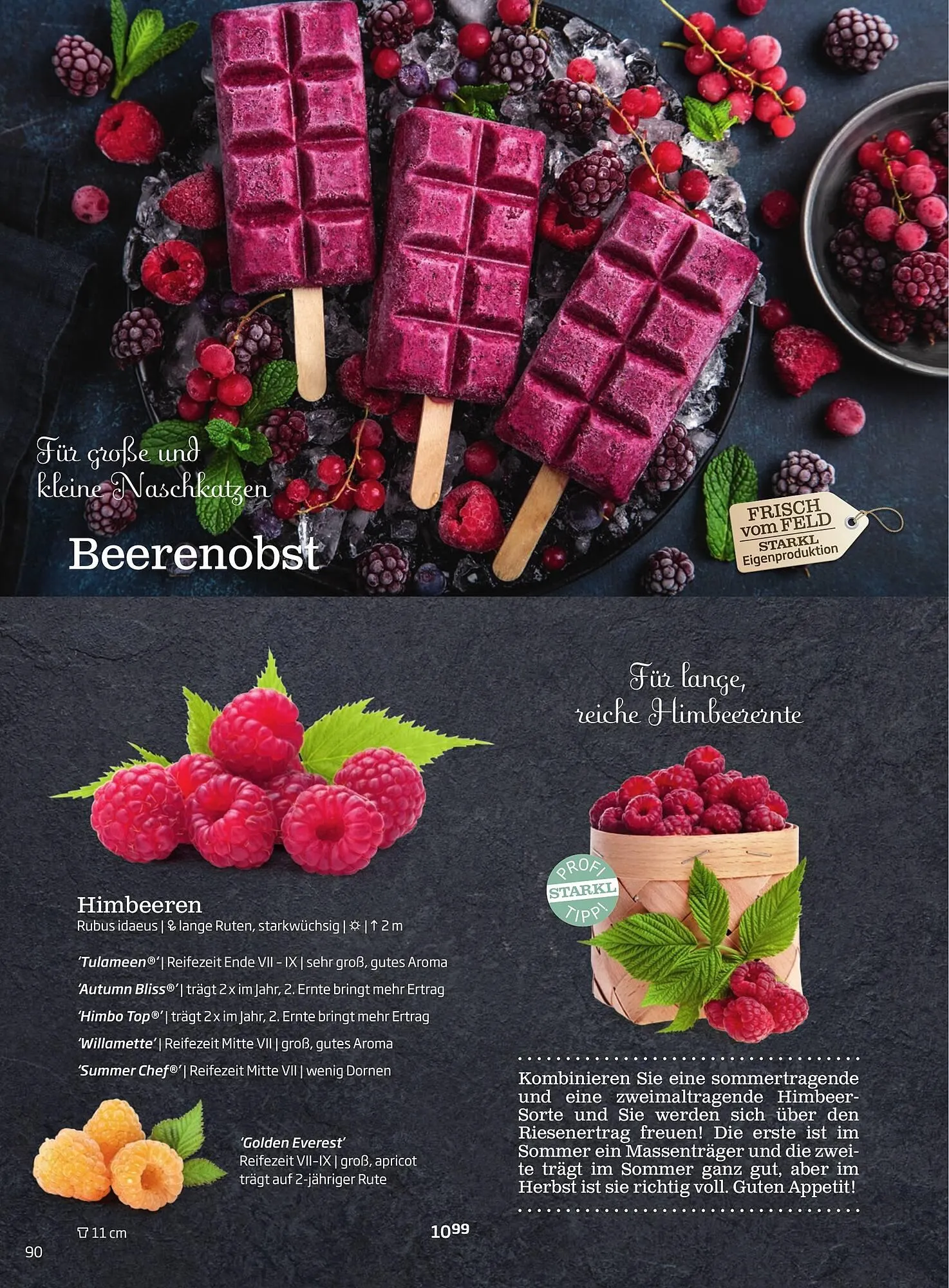 Starkl Flugblatt von 1. Jänner bis 31. Dezember 2023 - Flugblätt seite 90