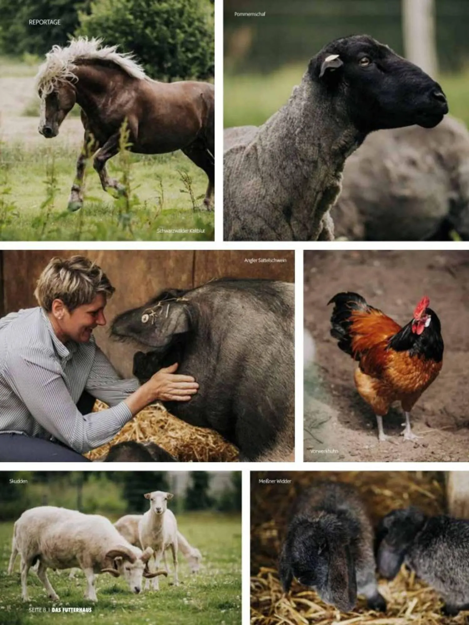 Das Futterhaus Prospekt von 3. Oktober bis 30. November 2025 - Flugblätt seite 8