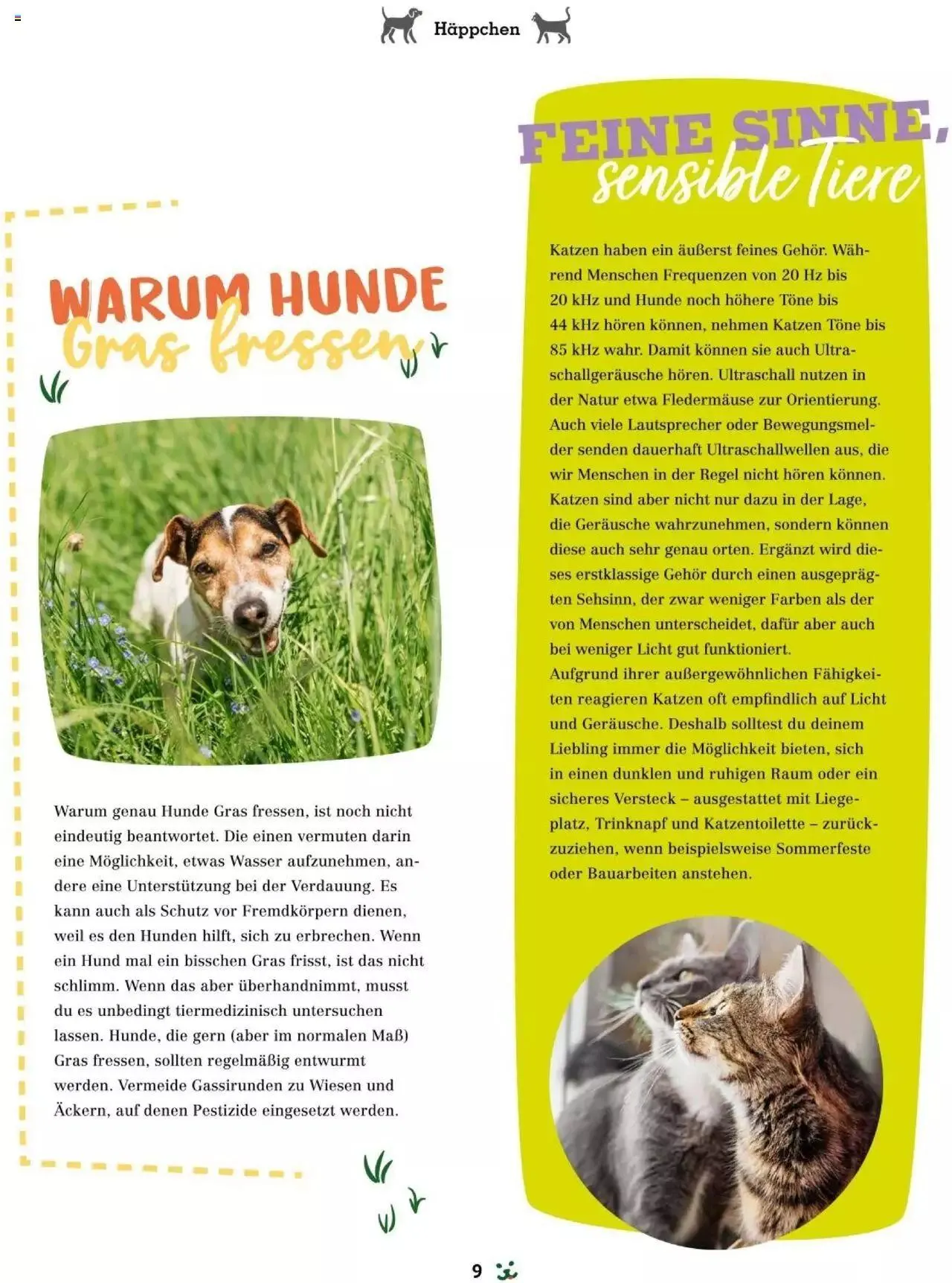 Fressnapf Friends 03/24 von 1. April bis 31. Dezember 2024 - Flugblätt seite 9