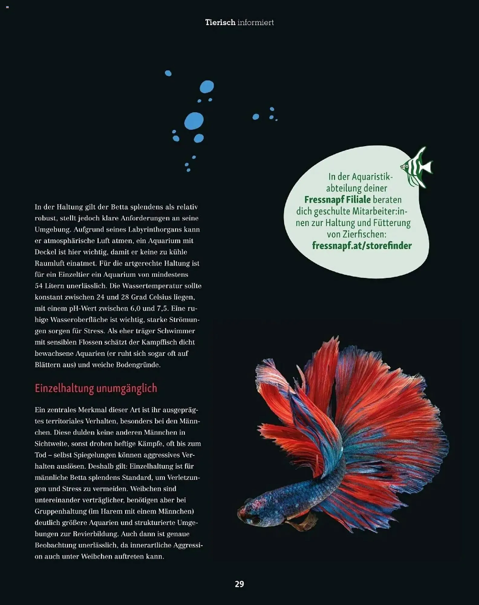 Fressnapf Flugblatt von 1. November bis 31. Dezember 2025 - Flugblätt seite  29