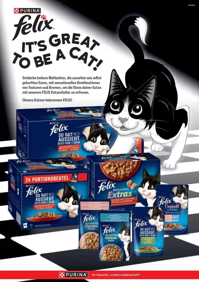 Angebote ZOO & Co von 29. November bis 13. Dezember 2024 - Flugblätt seite  13