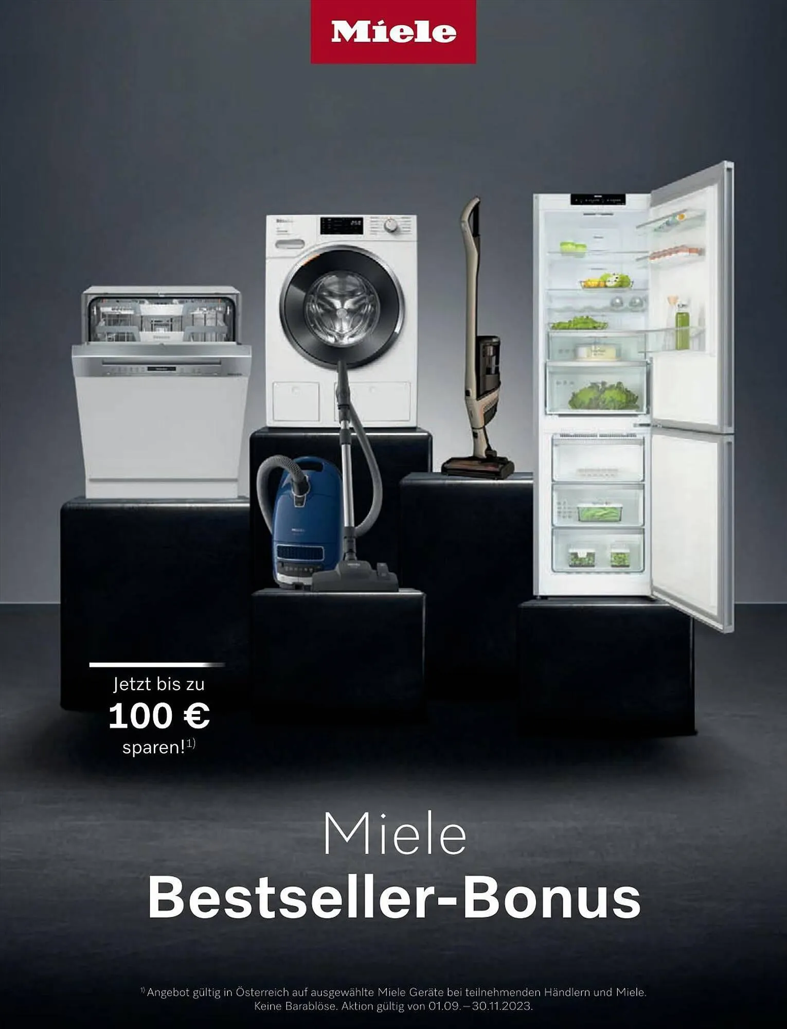 Expert Flugblatt - 1