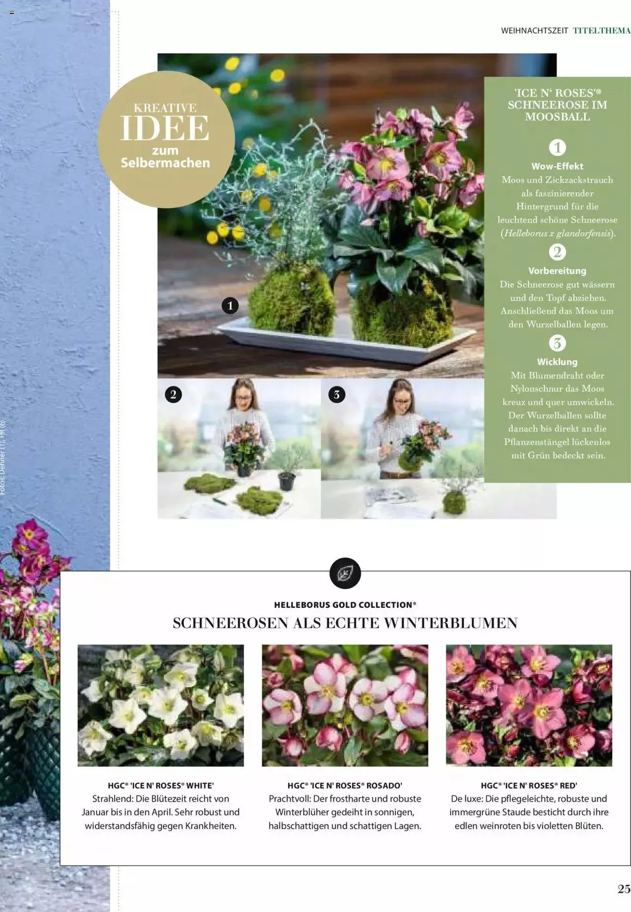 Dehner Flugblatt von 10. Oktober bis 31. Dezember 2023 - Flugblätt seite  25