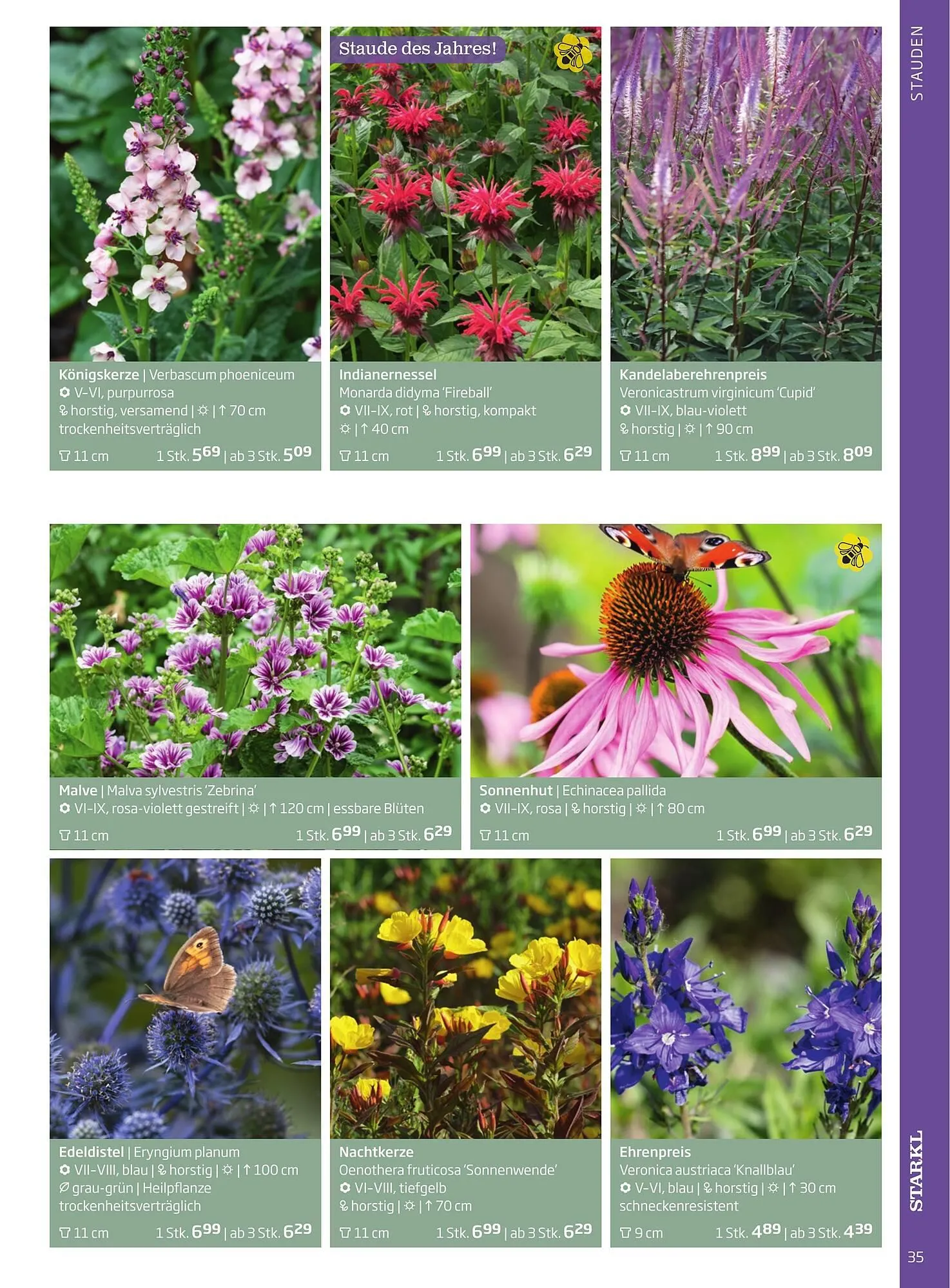 Starkl Flugblatt von 1. Jänner bis 31. Dezember 2023 - Flugblätt seite  35