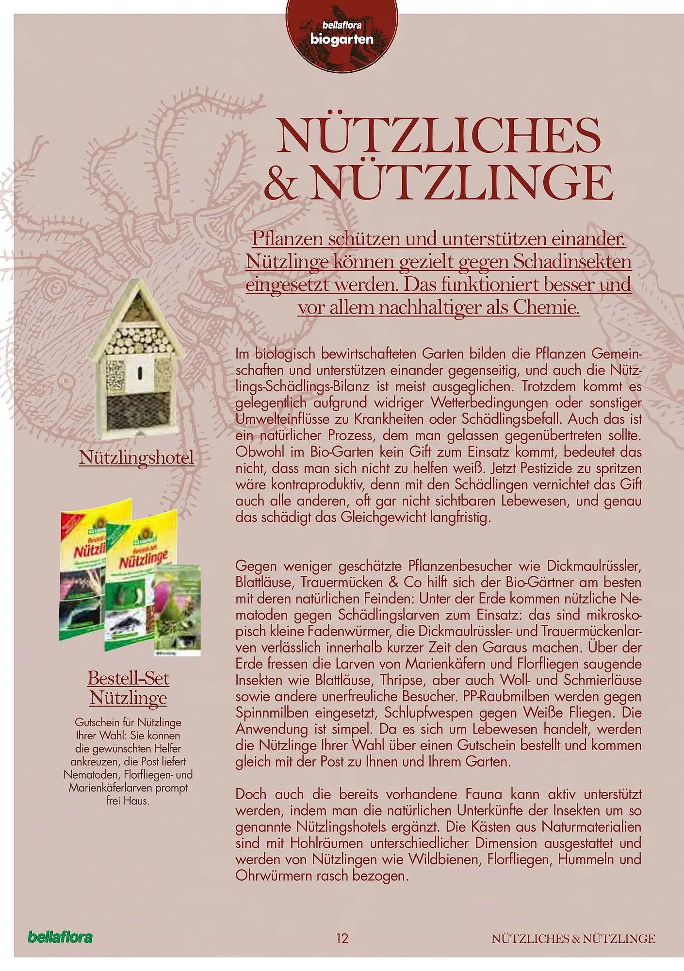 Bellaflora Flugblatt von 3. Jänner bis 31. Mai 2025 - Flugblätt seite 12