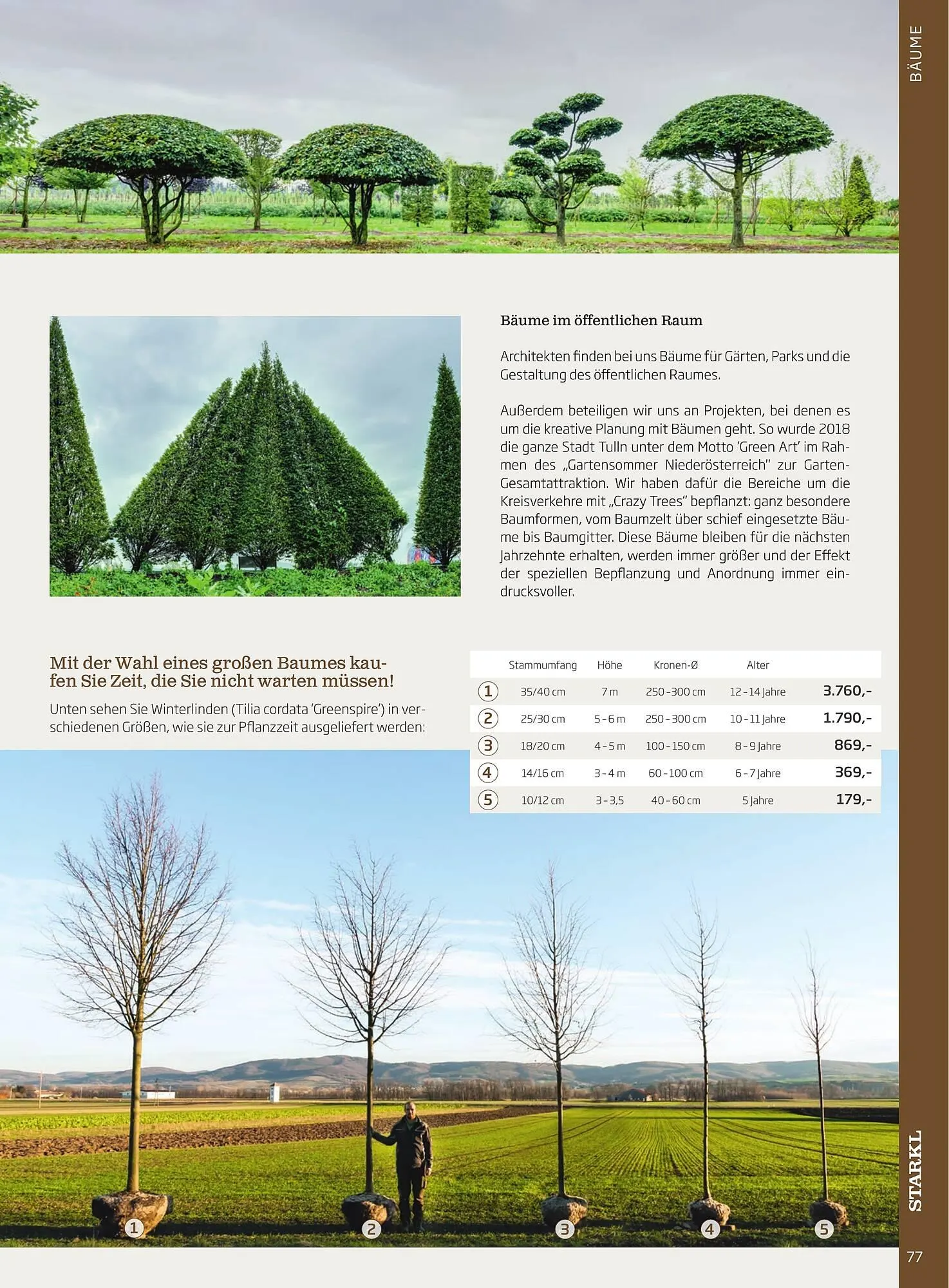 Starkl Flugblatt von 1. Jänner bis 31. Dezember 2023 - Flugblätt seite  77