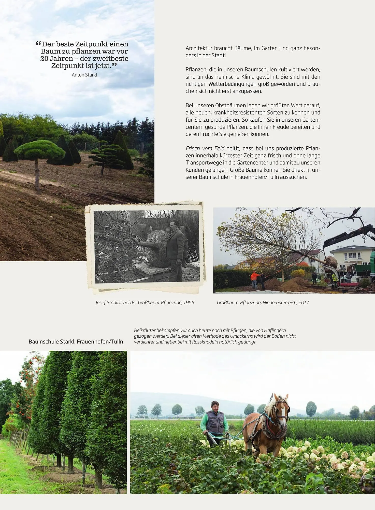 Starkl Flugblatt von 1. April bis 31. Dezember 2024 - Flugblätt seite 5