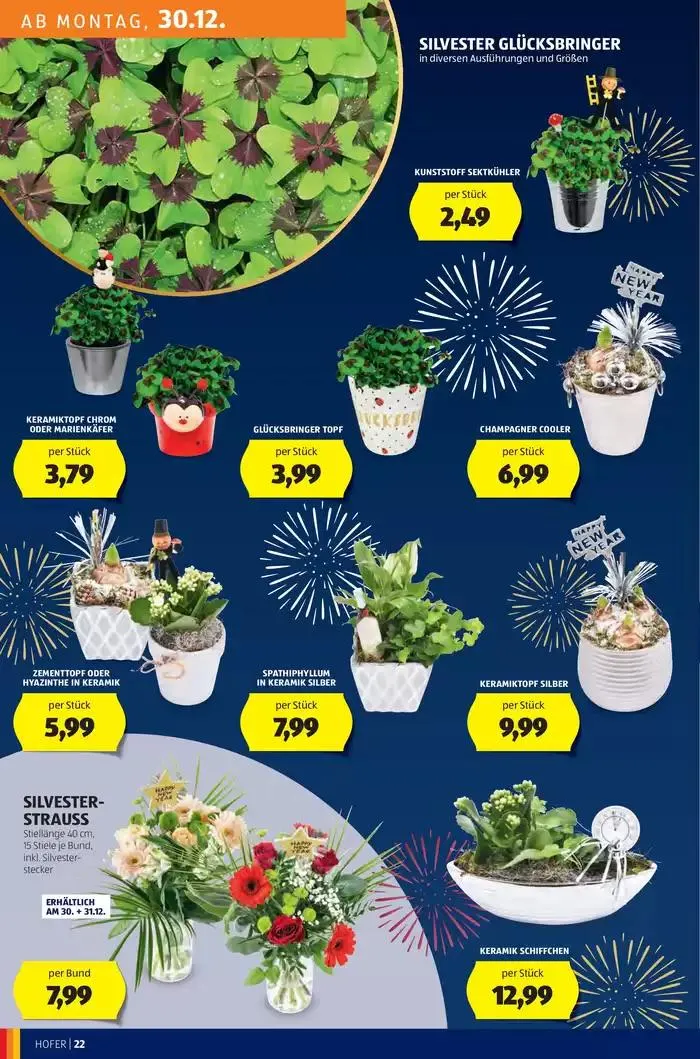 Blättern Sie online im HOFER Flugblatt von 24. Dezember bis 7. Jänner 2025 - Flugblätt seite 26