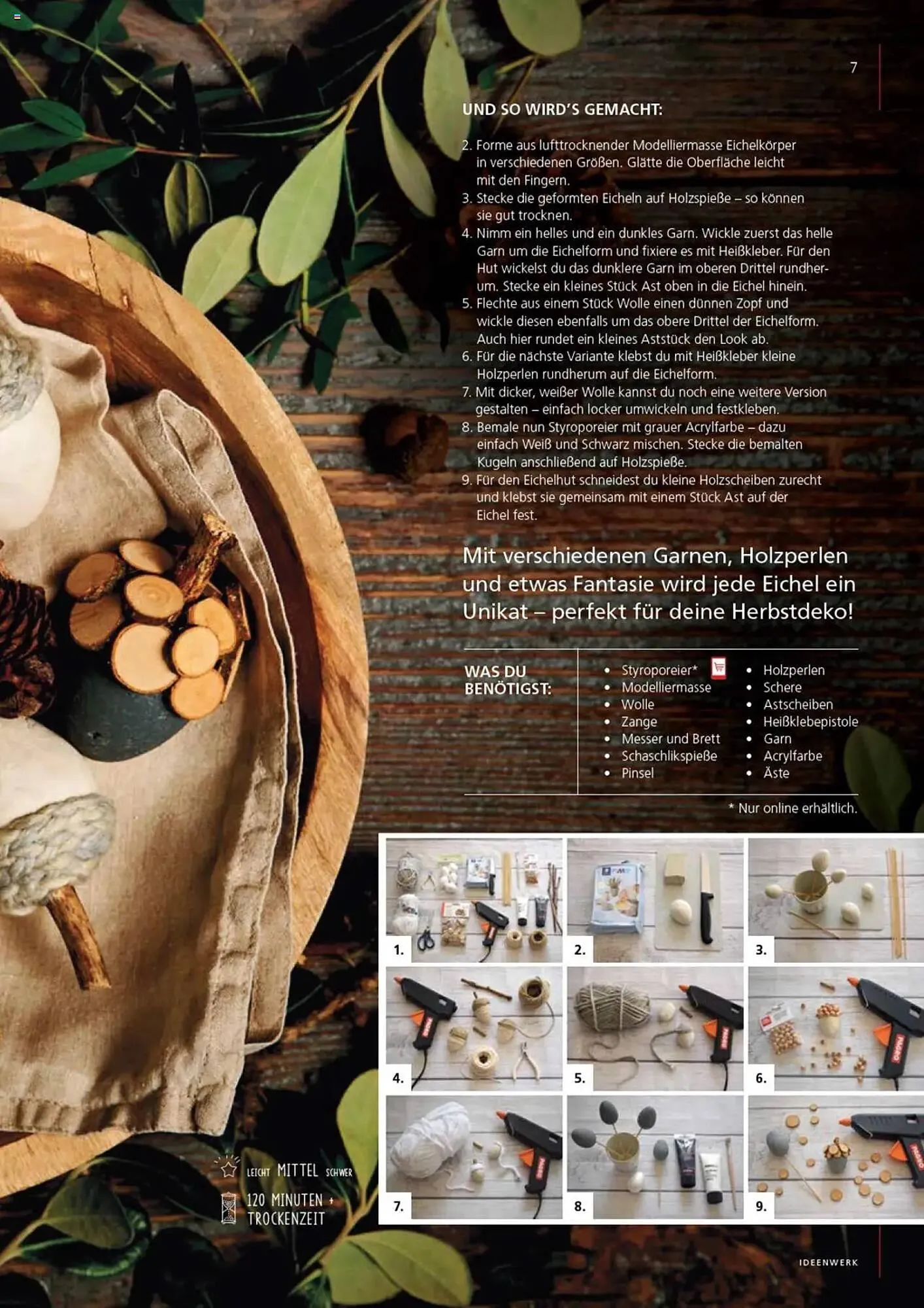 Pagro Diskont Flugblatt von 17. September bis 12. Dezember 2025 - Flugblätt seite  7