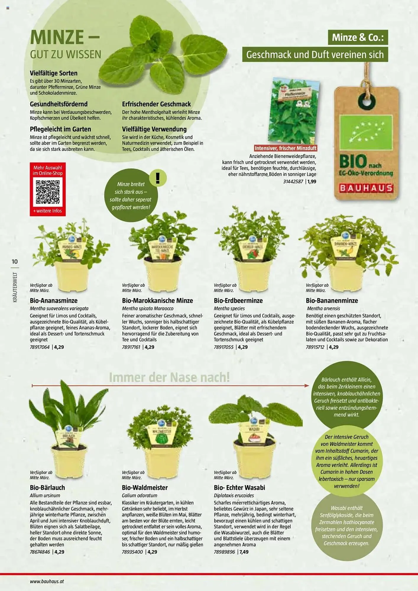 Bauhaus Flugblatt von 1. Juli bis 6. März 2026 - Flugblätt seite 10