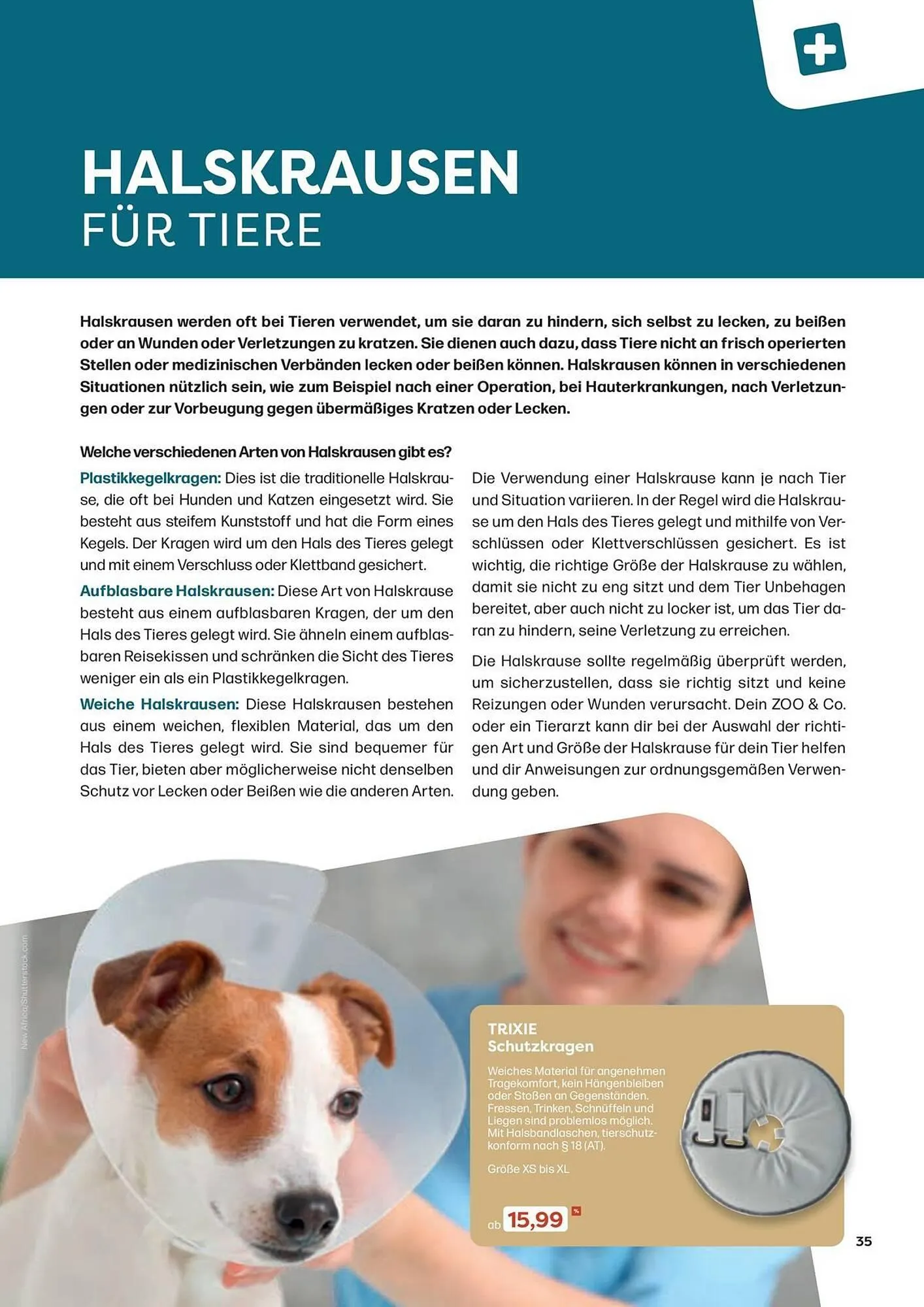 ZOO & Co Flugblatt von 30. August bis 8. November 2024 - Flugblätt seite  35