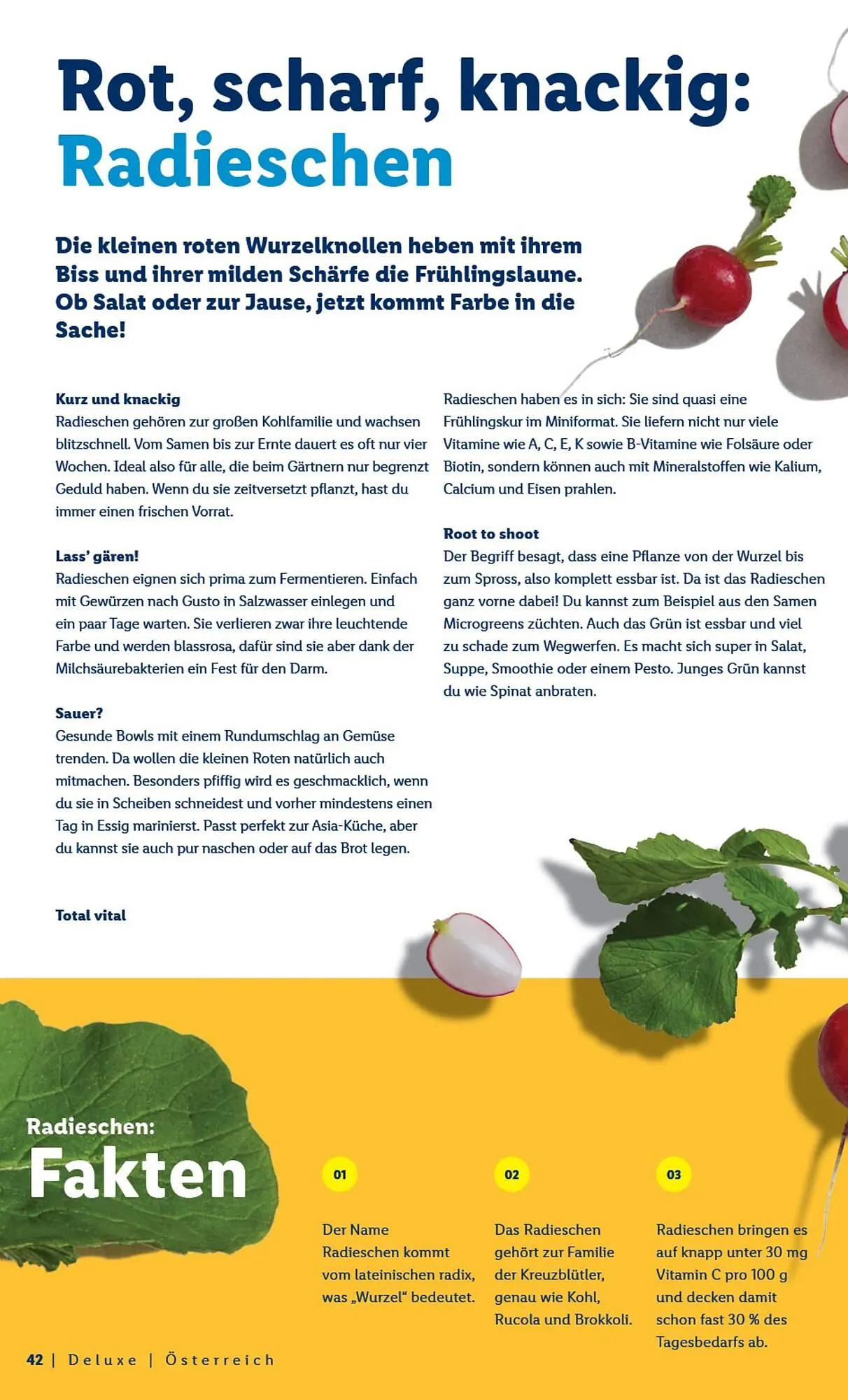 Lidl Flugblatt von 1. März bis 5. April 2026 - Flugblätt seite 42