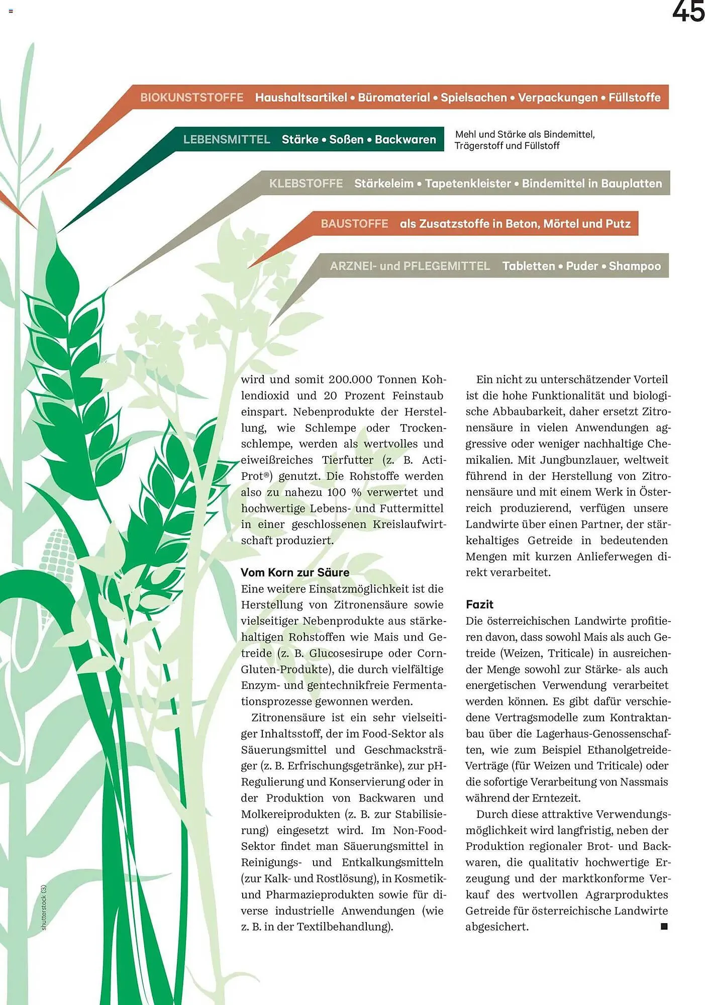 Lagerhaus Flugblatt von 1. Dezember bis 31. Dezember 2025 - Flugblätt seite 45