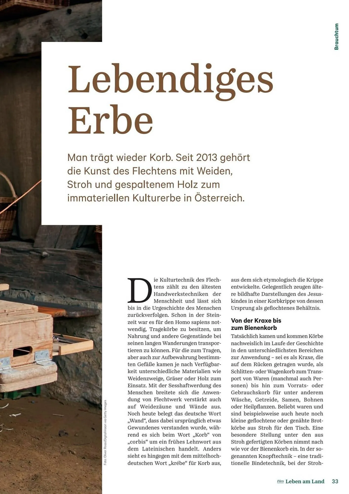 Lagerhaus Flugblatt von 1. Februar bis 28. Februar 2026 - Flugblätt seite  33