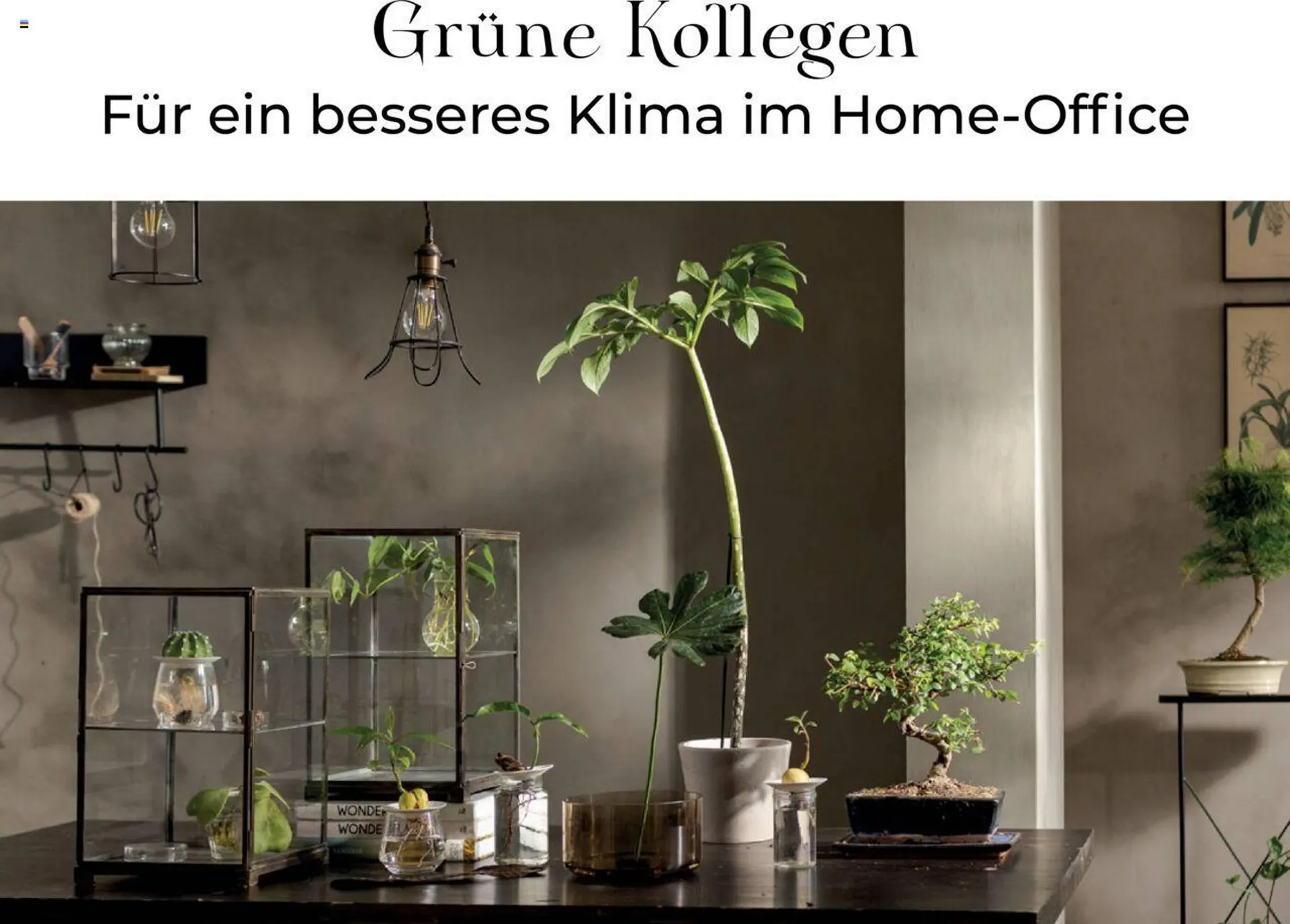 Depot Flugblatt von 18. August bis 30. Dezember 2023 - Flugblätt seite 38