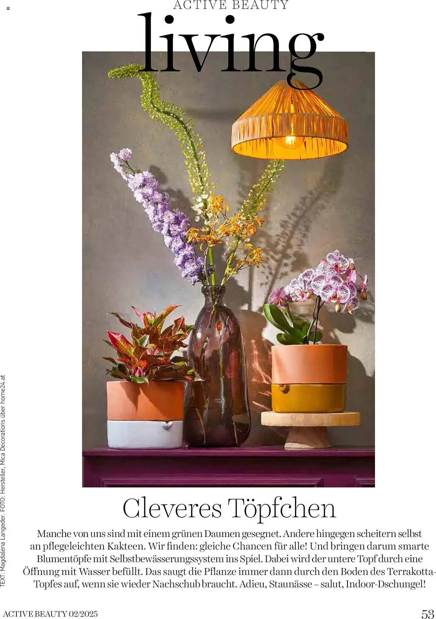 dm Flugblatt von 5. Februar bis 28. Februar 2025 - Flugblätt seite  53