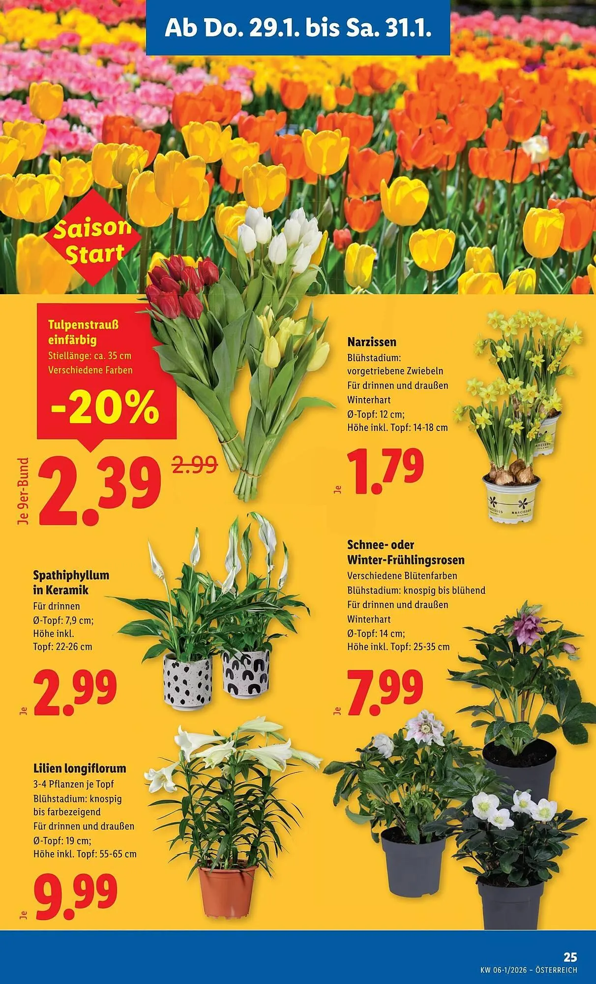 Lidl Flugblatt von 29. Jänner bis 5. Februar 2026 - Flugblätt seite 27