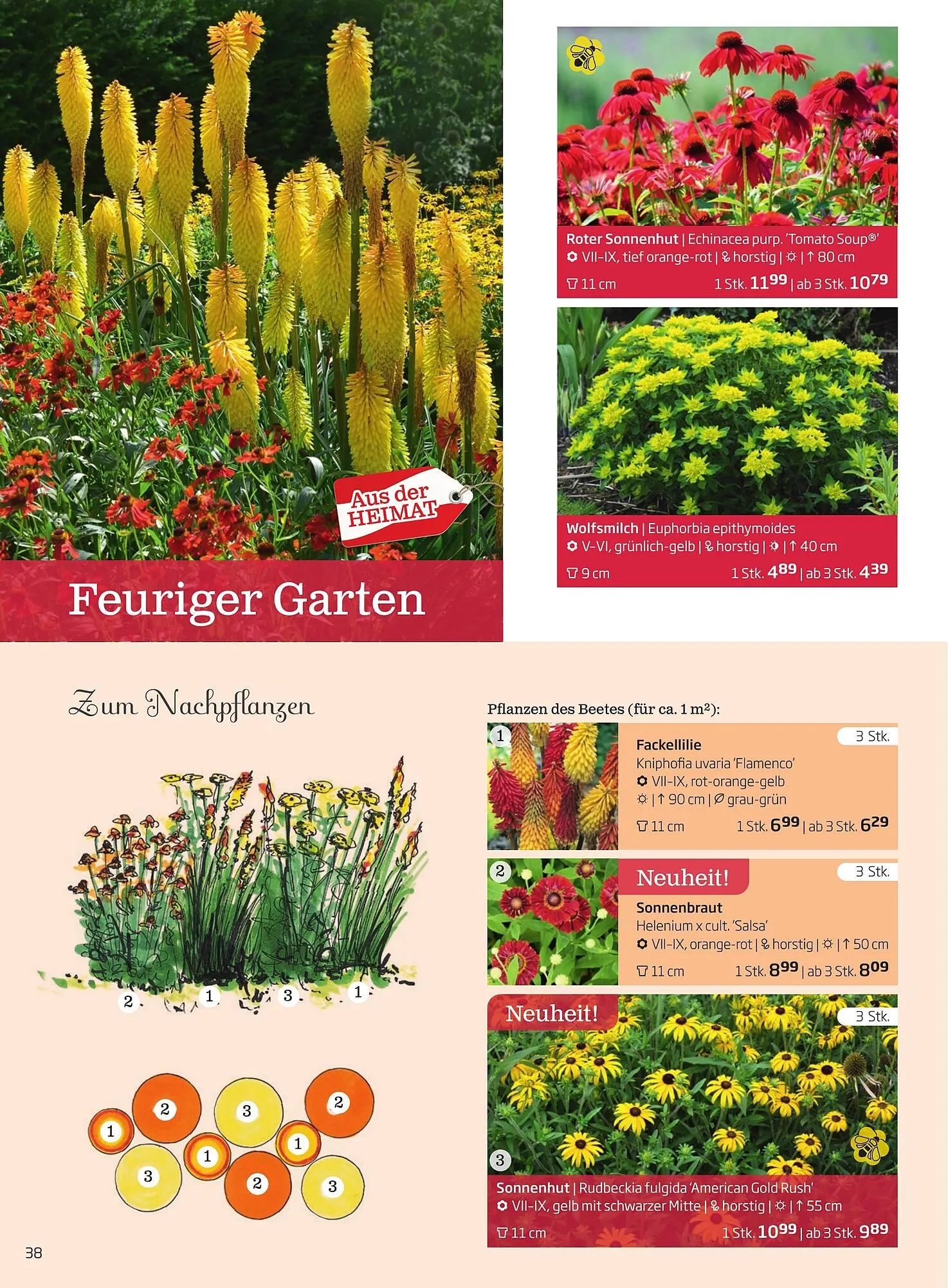 Starkl Flugblatt von 1. Jänner bis 31. Dezember 2023 - Flugblätt seite  38