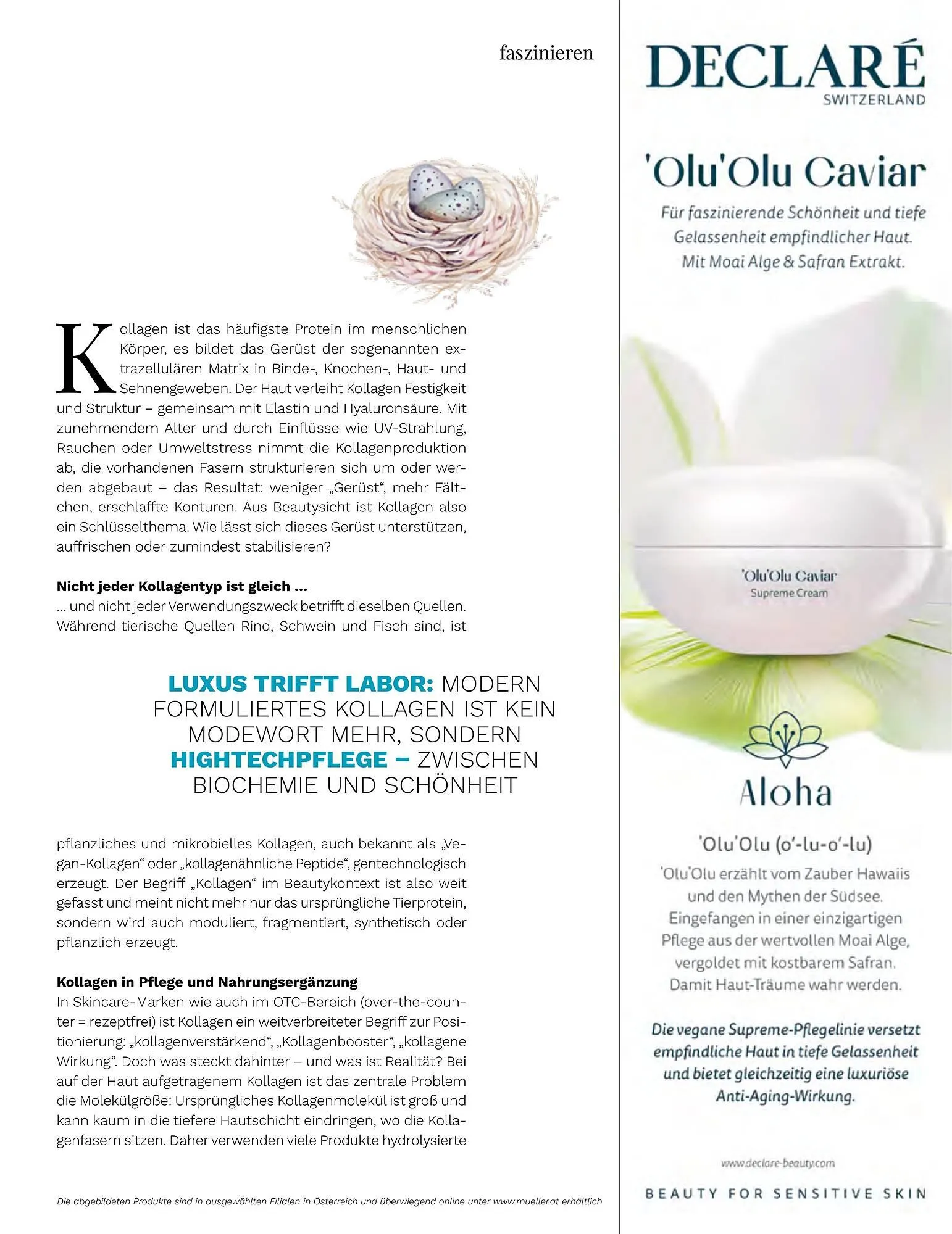 Müller Flugblatt von 1. März bis 30. April 2026 - Flugblätt seite  11