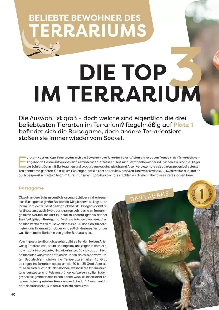 Angebote ZOO & Co von 29. November bis 13. Dezember 2024 - Flugblätt seite 40