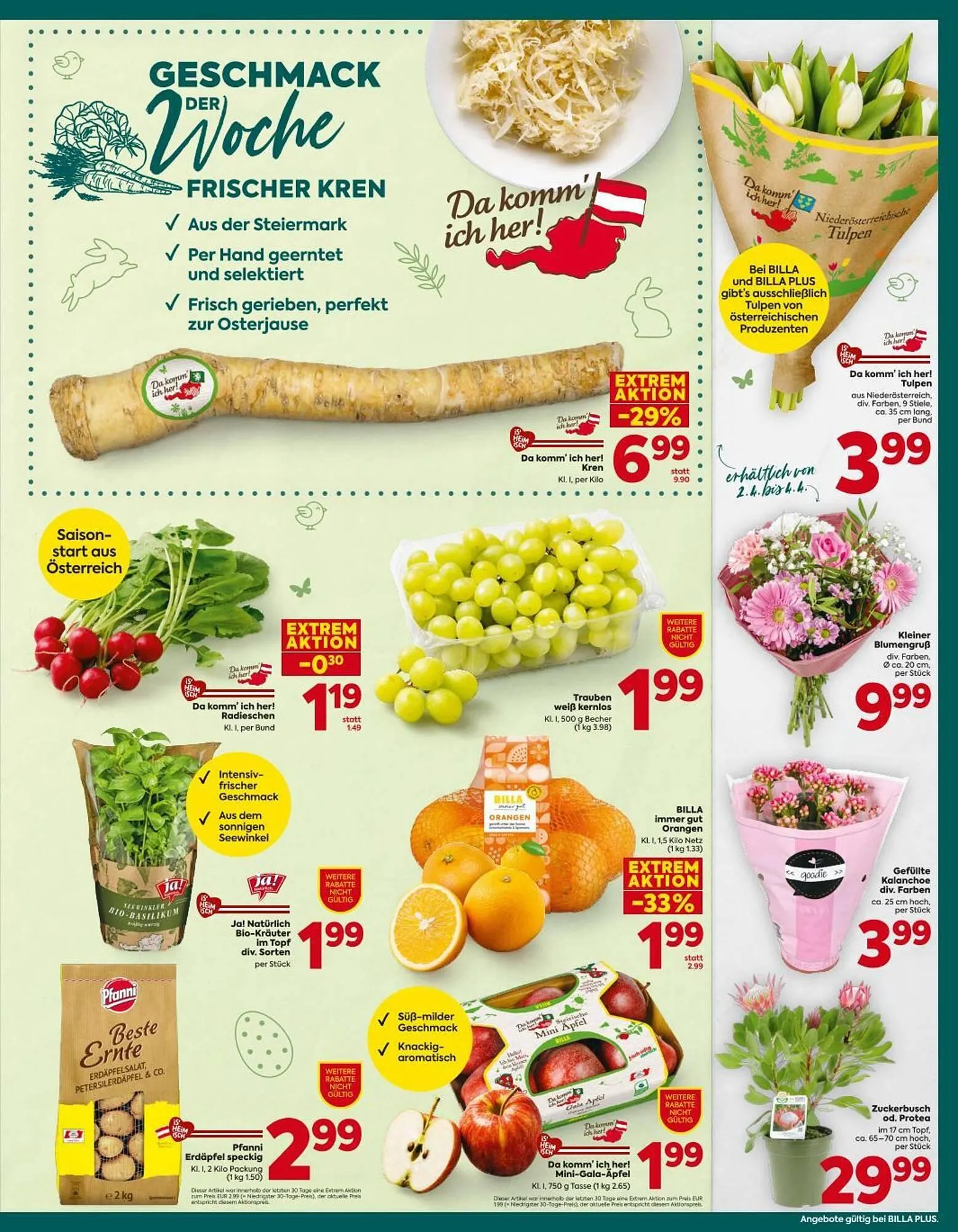 Billa Corso Flugblatt von 26. März bis 4. April 2026 - Flugblätt seite  15