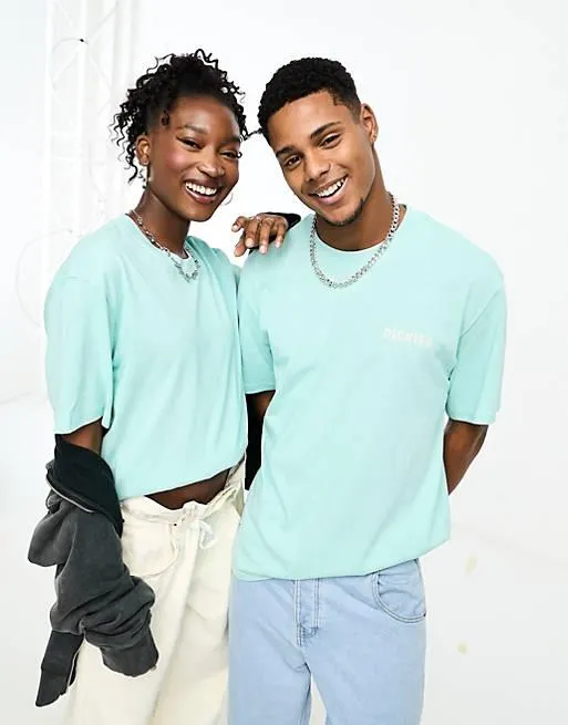 Dickies Hays t-shirt with texas back print in pastel turquoise