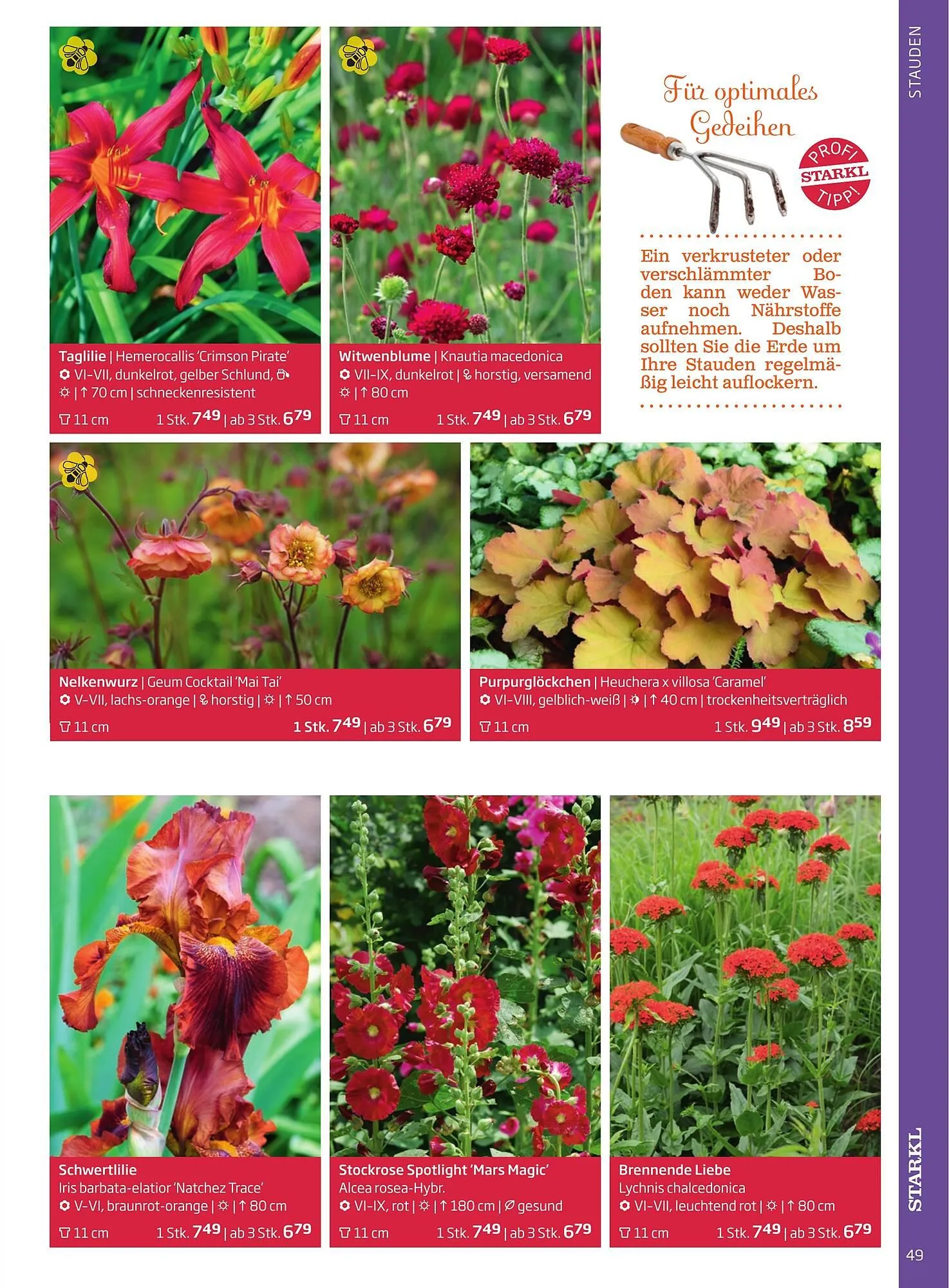 Starkl Flugblatt von 6. Juni bis 31. Dezember 2025 - Flugblätt seite  49
