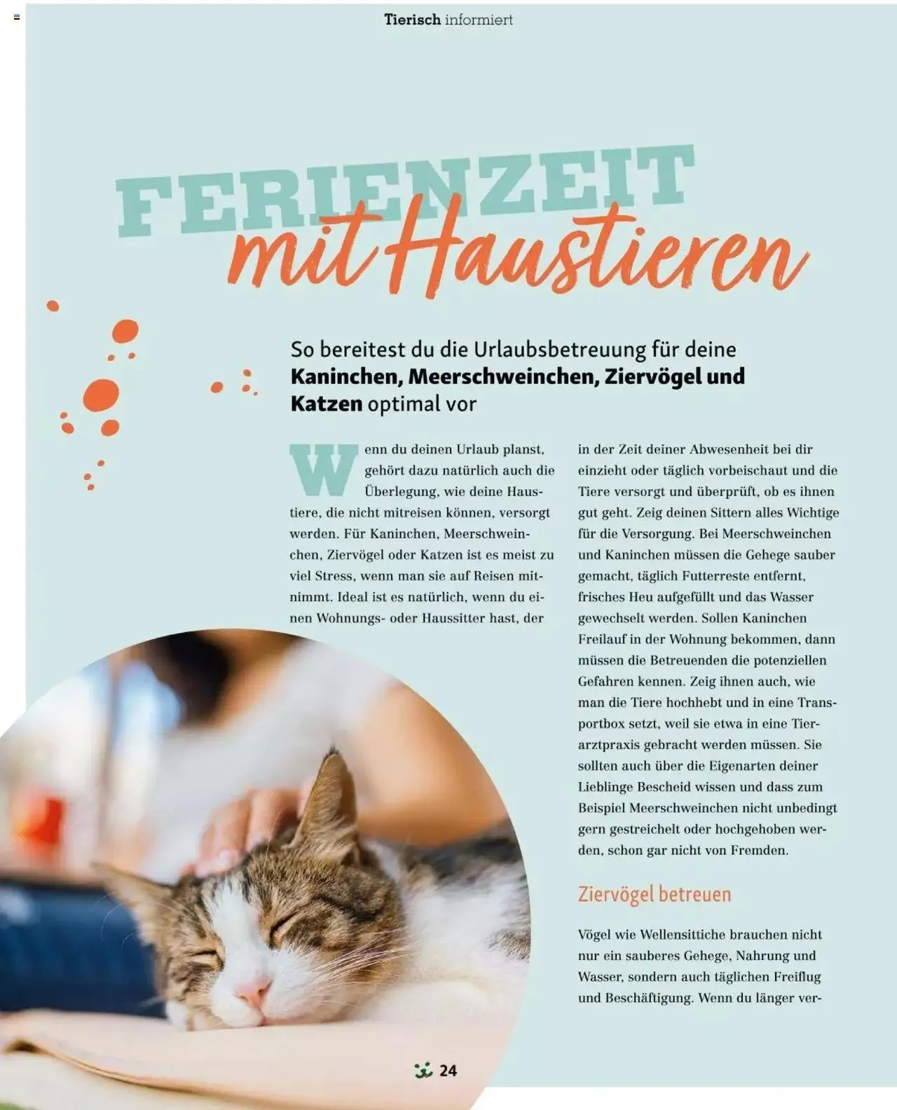 Fressnapf Friends 03/24 von 1. April bis 31. Dezember 2024 - Flugblätt seite  24