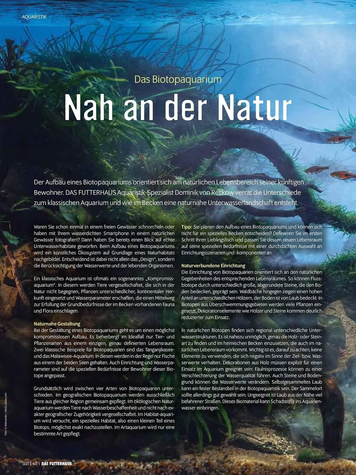 Das Futterhaus Flugblatt von 31. Mai bis 23. Juni 2024 - Flugblätt seite 40