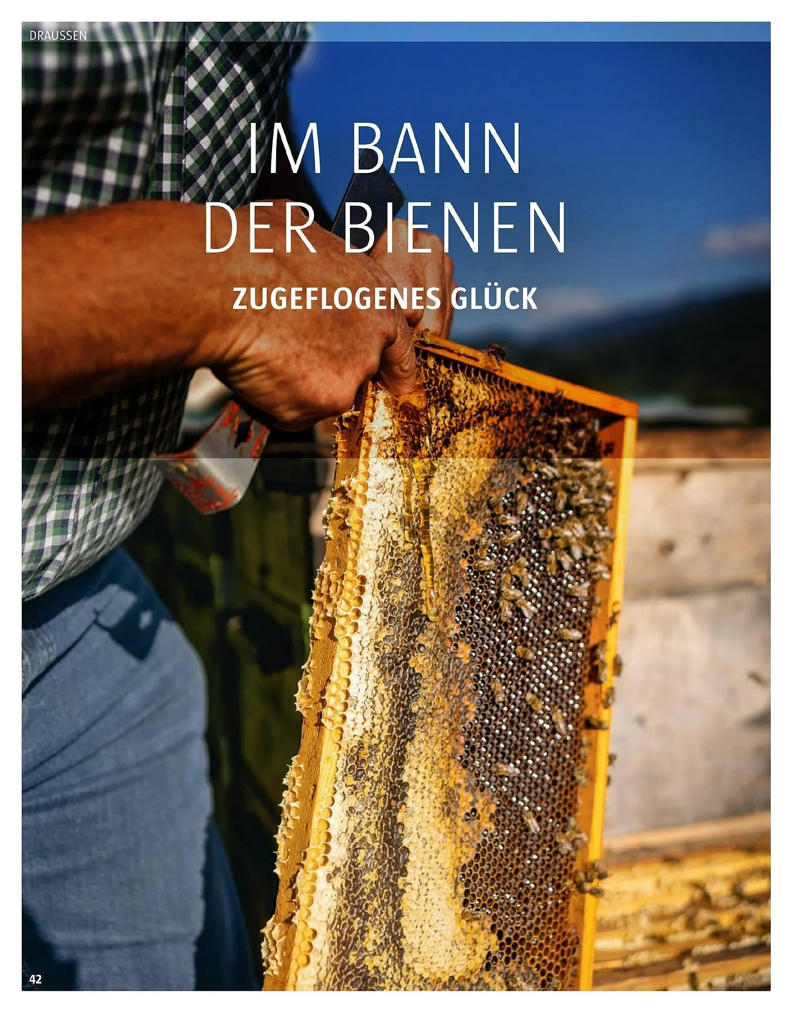 Sutterlüty Flugblatt von 17. November bis 29. Jänner 2026 - Flugblätt seite  107