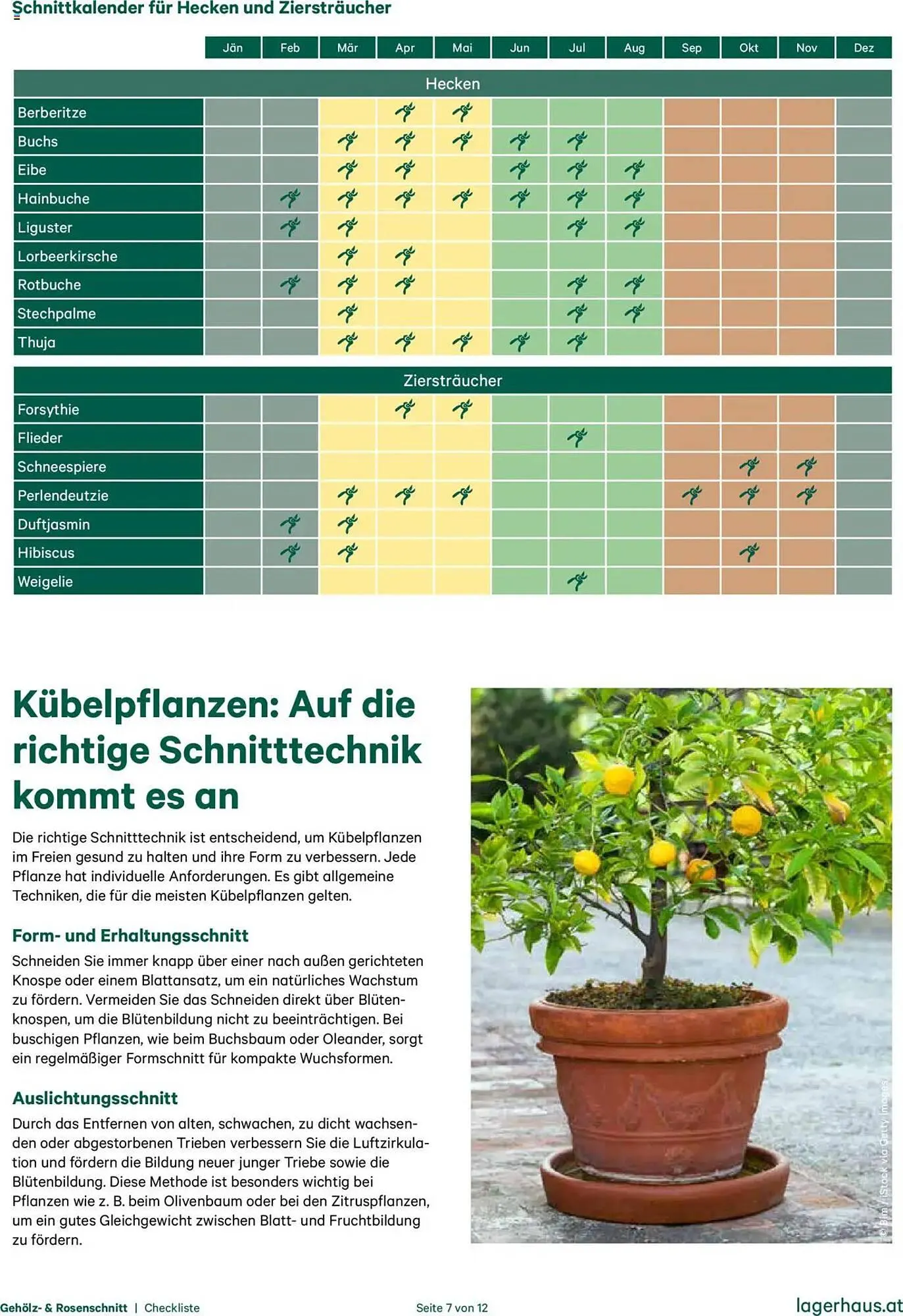 Lagerhaus Flugblatt von 20. Oktober bis 31. Dezember 2025 - Flugblätt seite 7