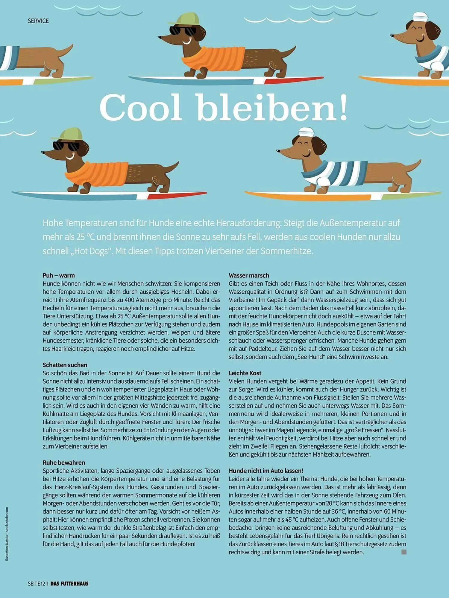 Das Futterhaus Flugblatt von 31. Mai bis 23. Juni 2024 - Flugblätt seite 12