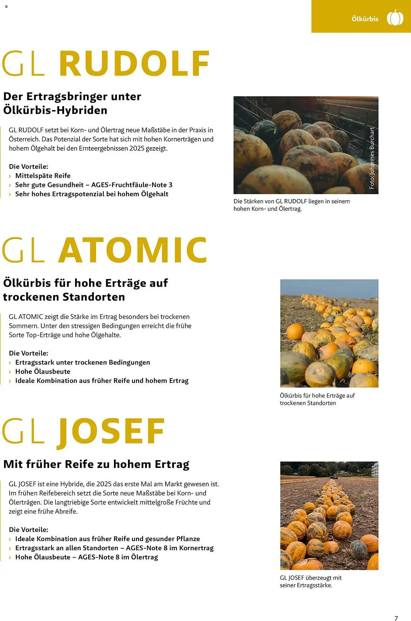 Lagerhaus Flugblatt von 1. März bis 31. Mai 2026 - Flugblätt seite  7