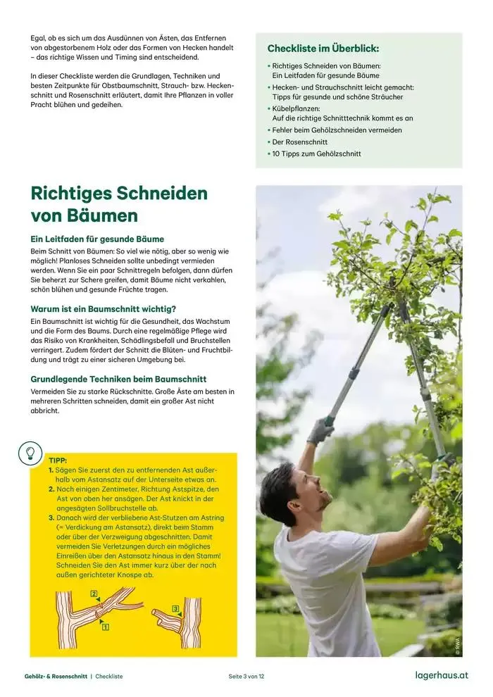 Checkliste: Gehölzschnitt & Rosenschnitt von 28. Dezember bis 11. Jänner 2025 - Flugblätt seite  3