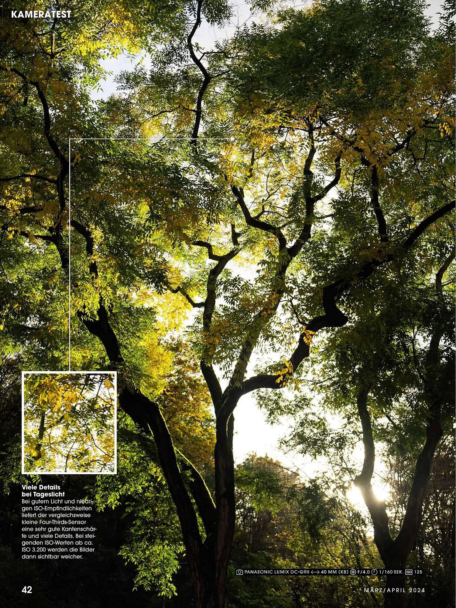 RINGFOTO Flugblatt von 1. März bis 30. April 2024 - Flugblätt seite 42