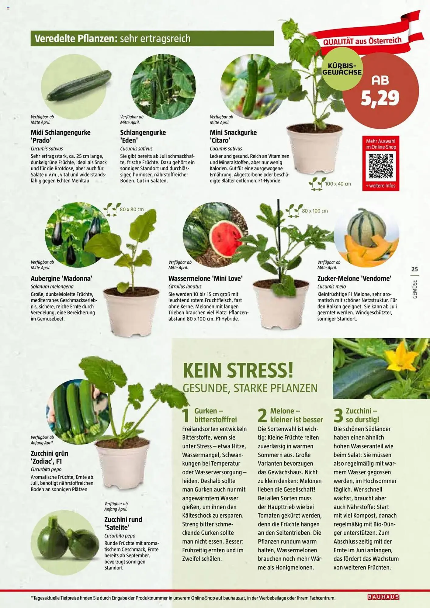 Bauhaus Flugblatt von 1. Juli bis 6. März 2026 - Flugblätt seite  25