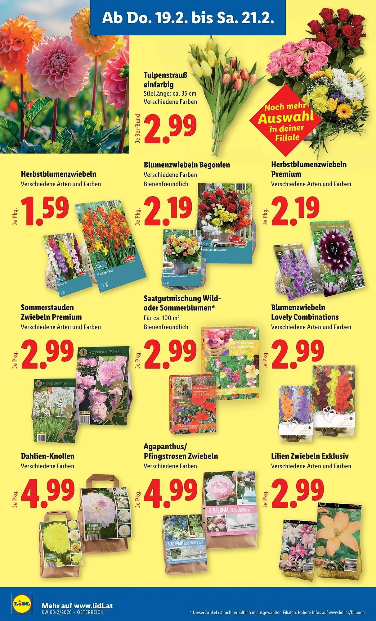 Lidl Flugblatt von 19. Februar bis 26. Februar 2026 - Flugblätt seite  24