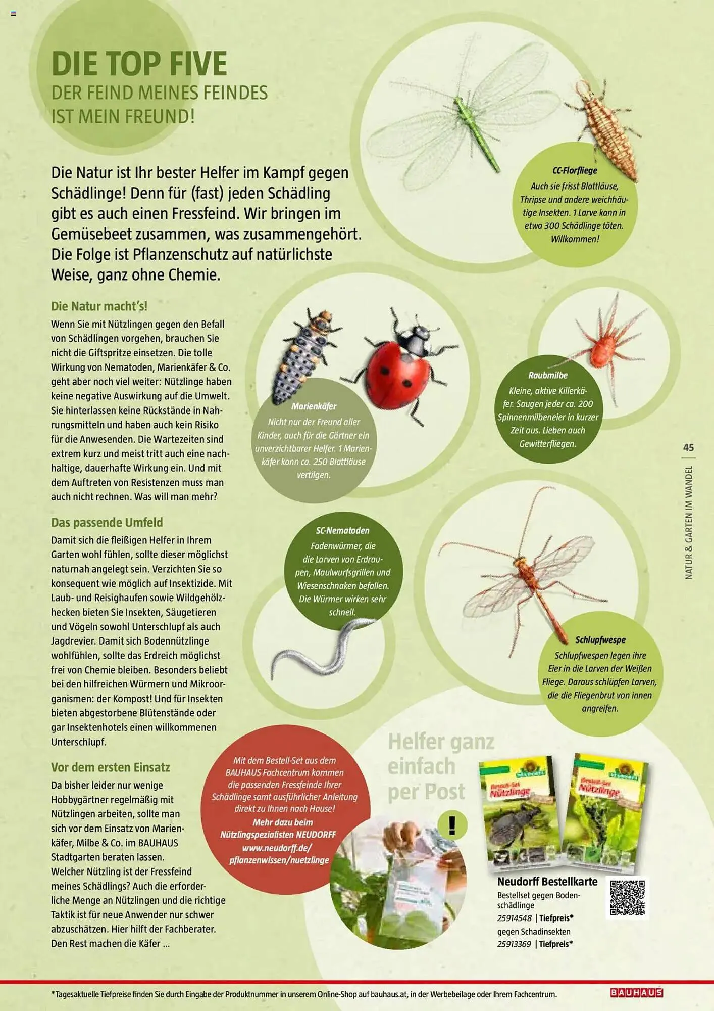 Bauhaus Flugblatt von 1. Juli bis 6. März 2026 - Flugblätt seite 45