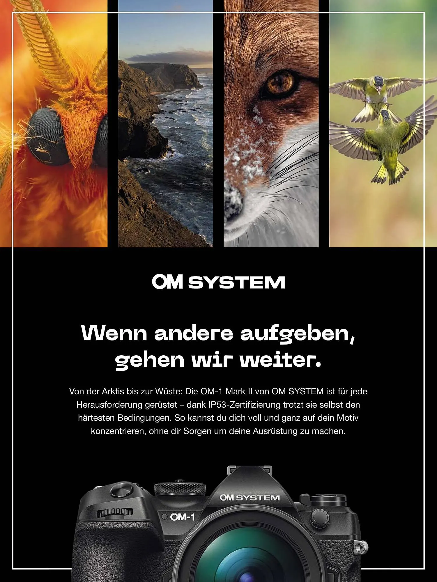 RINGFOTO Flugblatt von 1. November bis 31. Dezember 2024 - Flugblätt seite  52