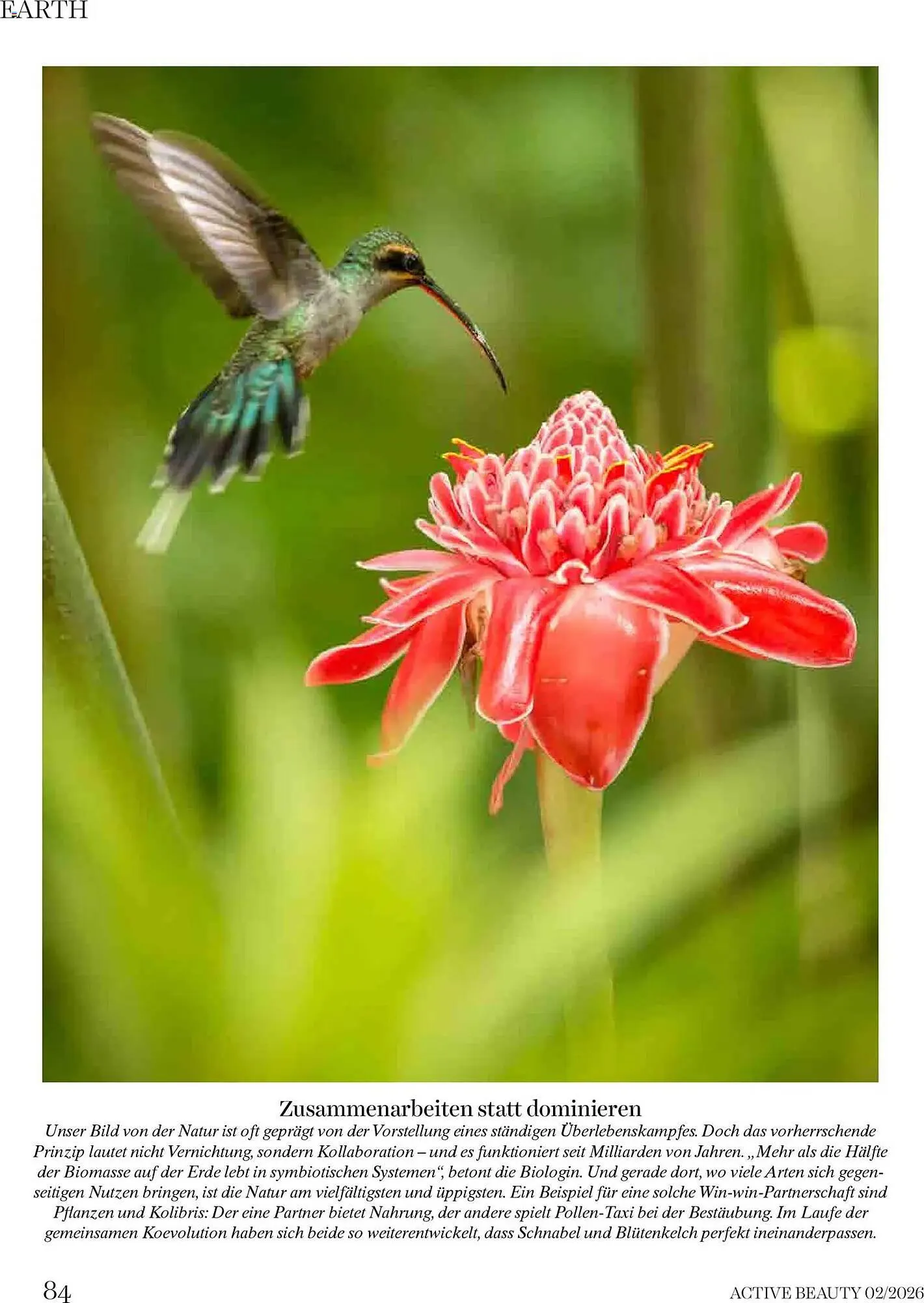 Dm Flugblatt von 1. Februar bis 28. Februar 2026 - Flugblätt seite 84