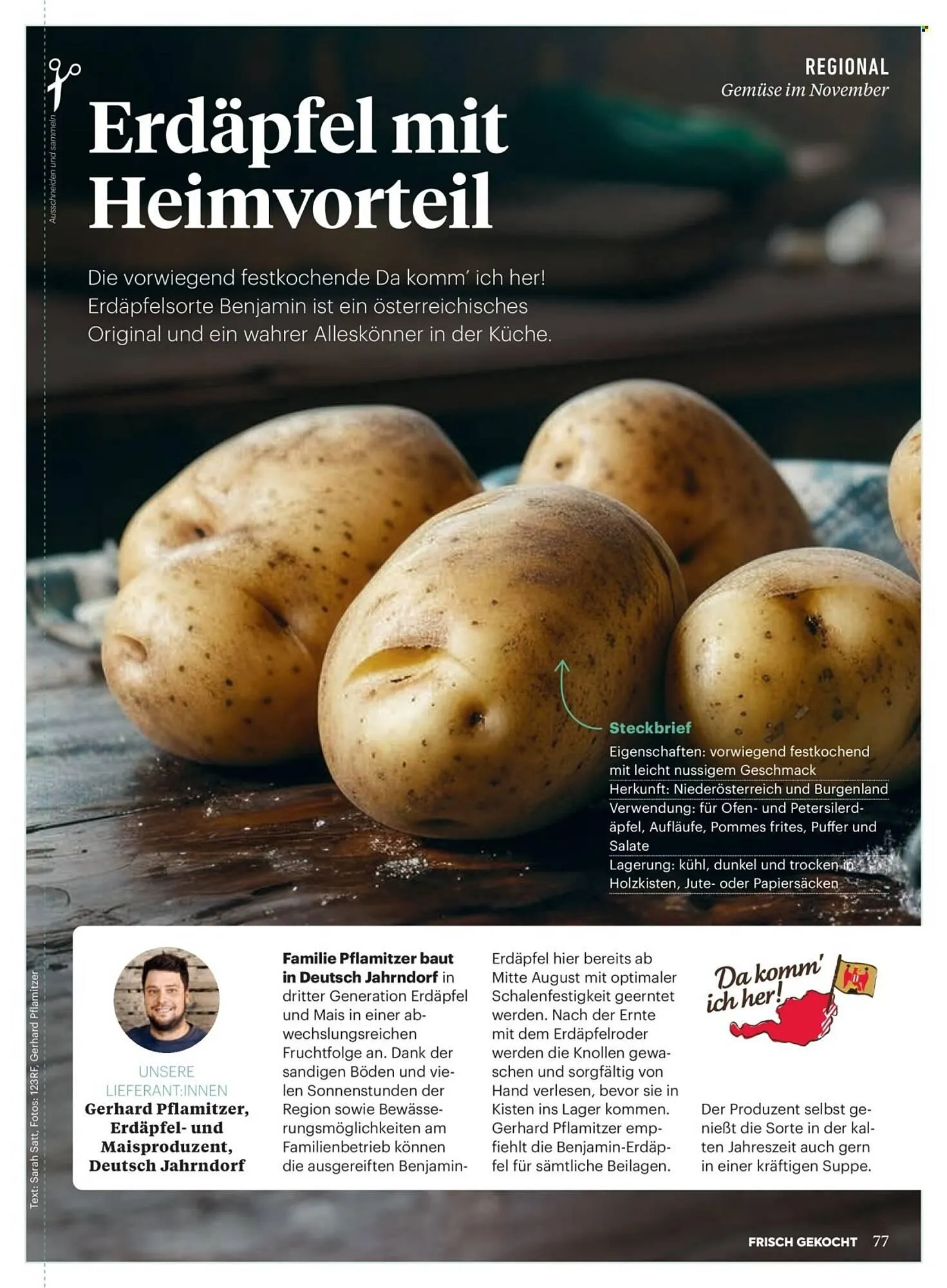 Billa Flugblatt von 1. November bis 30. November 2025 - Flugblätt seite  73