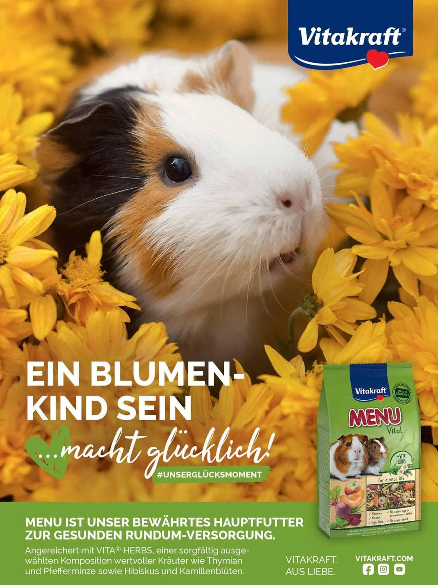 Das Futterhaus Flugblatt von 1. April bis 20. Mai 2024 - Flugblätt seite  37