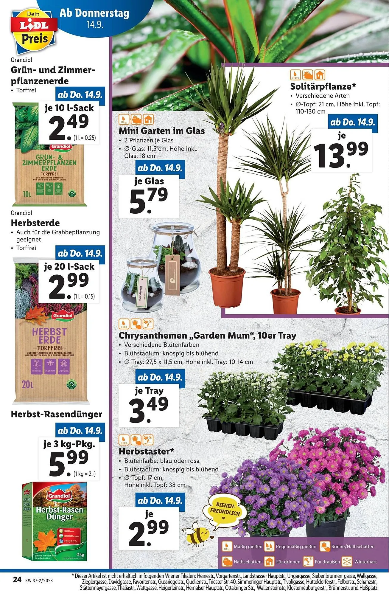 Lidl Flugblatt von 13. September bis 20. September 2023 - Flugblätt seite 24