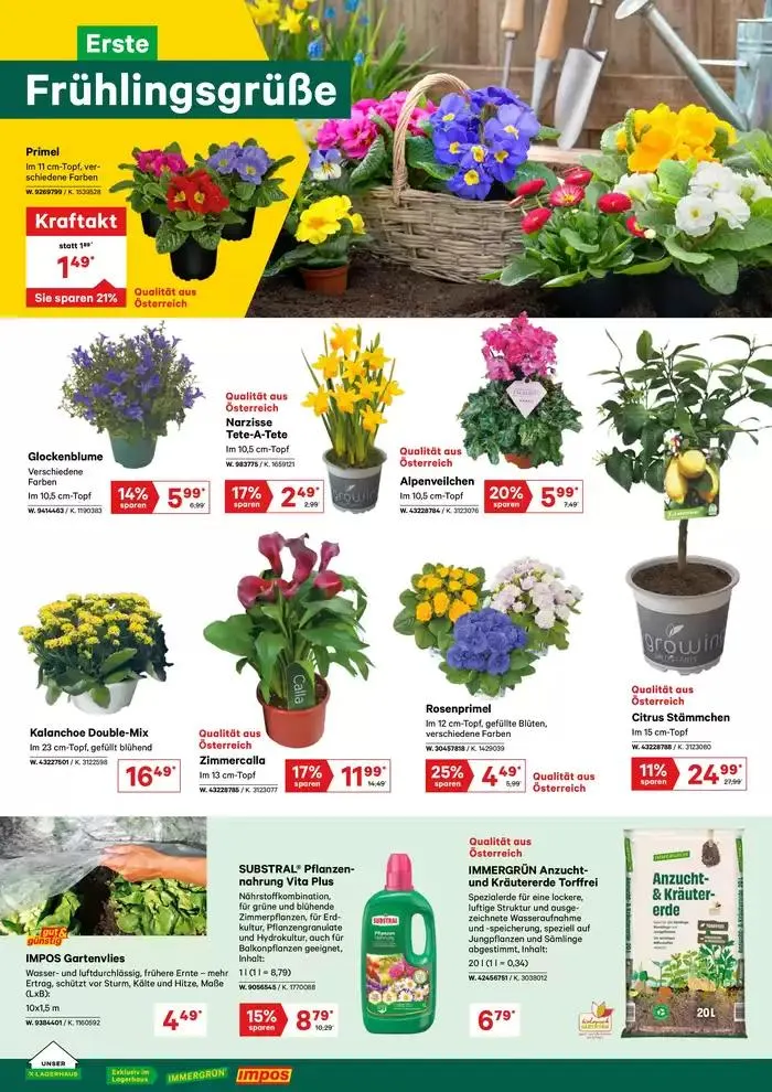 Flugblatt Jänner 2025 von 4. Februar bis 18. Februar 2025 - Flugblätt seite  2