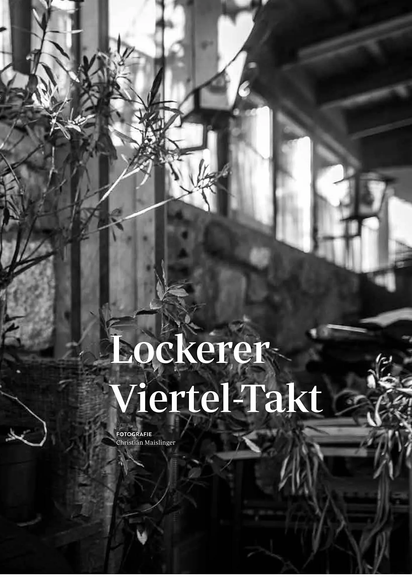 Transgourmet Flugblatt von 13. Februar bis 31. März 2026 - Flugblätt seite  15