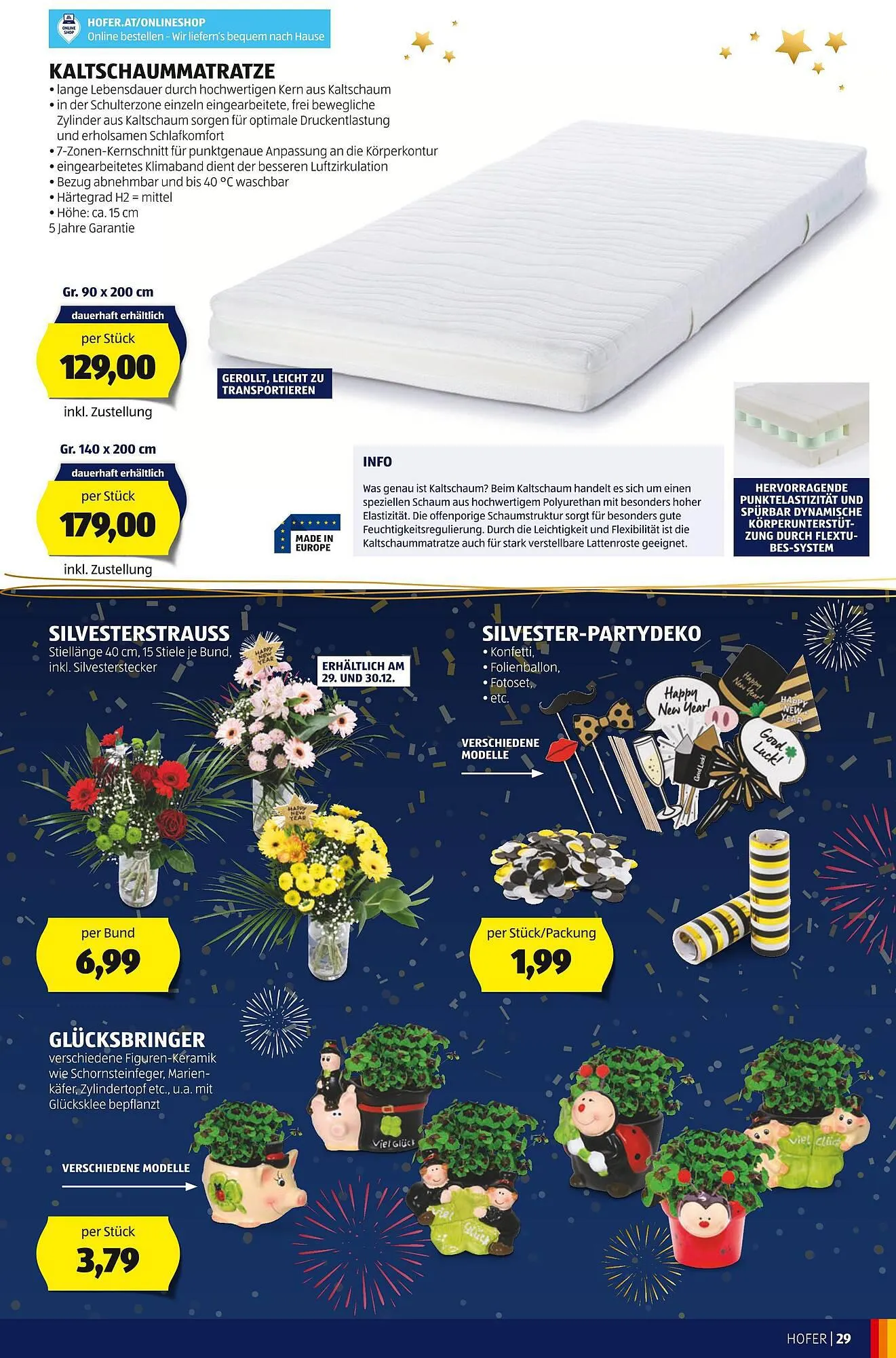 Hofer Flugblatt von 22. Dezember bis 28. Dezember 2024 - Flugblätt seite 31