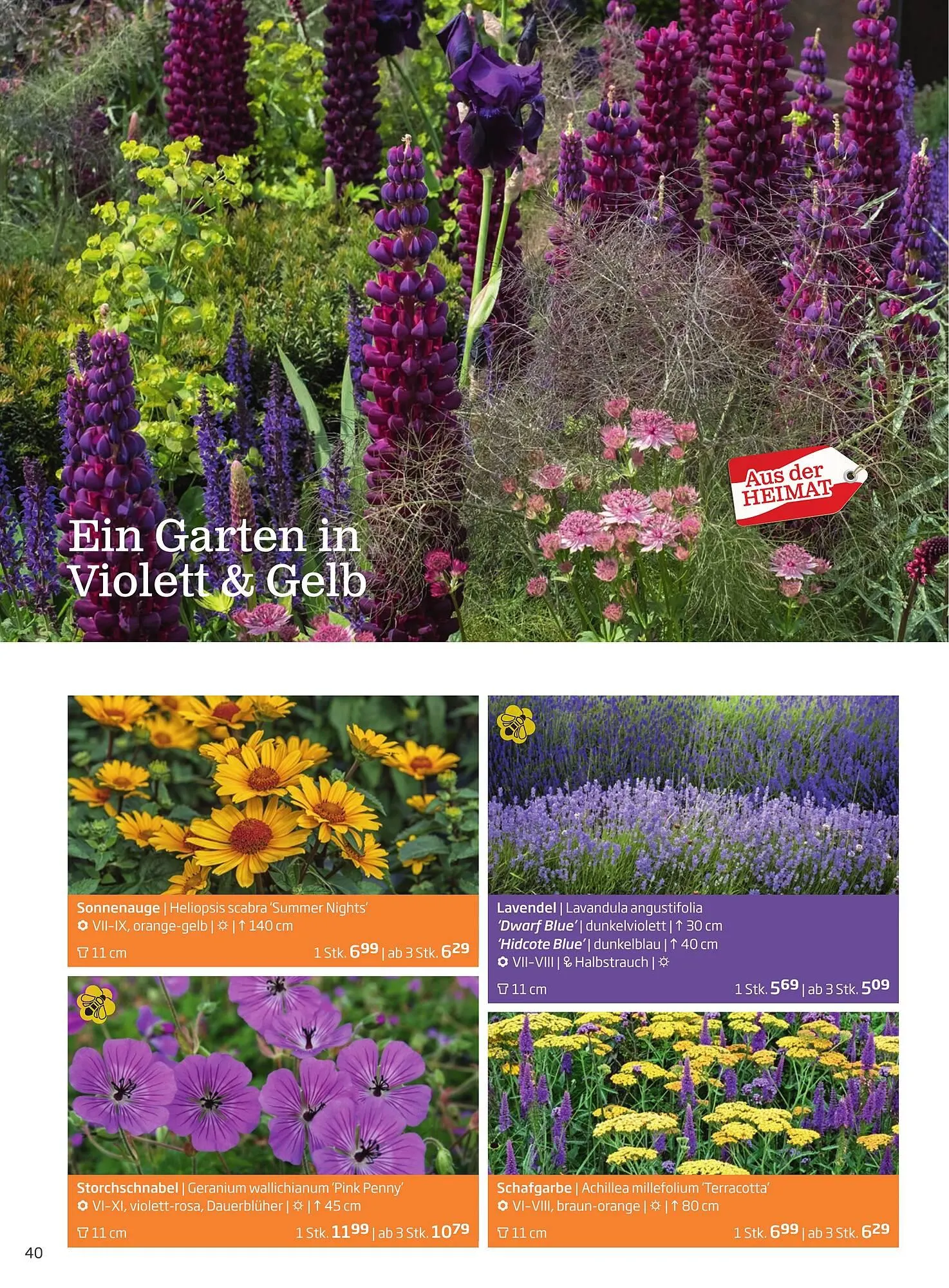 Starkl Flugblatt von 1. Jänner bis 31. Dezember 2023 - Flugblätt seite  40