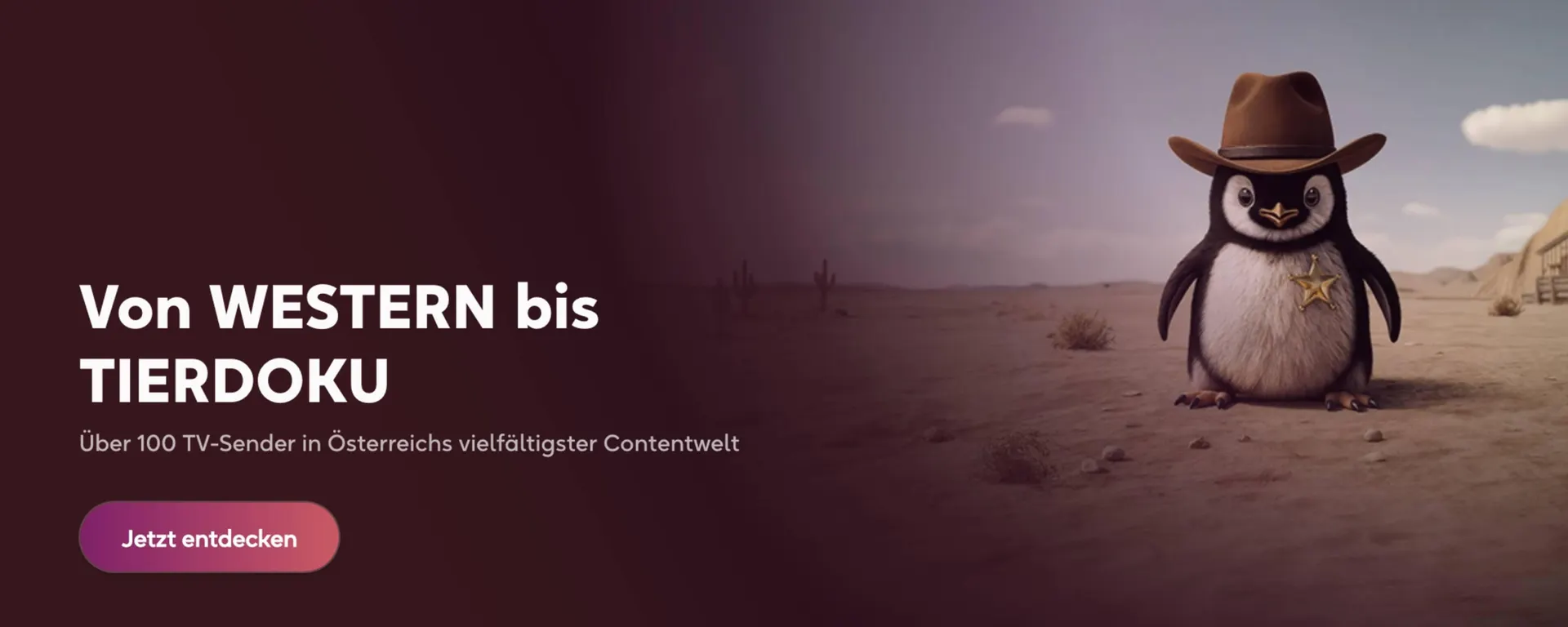 SimpliTV Flugblatt - 1