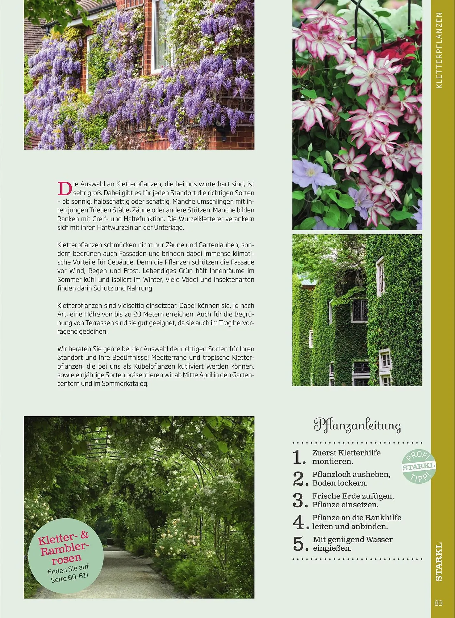 Starkl Flugblatt von 1. Jänner bis 31. Dezember 2023 - Flugblätt seite  83